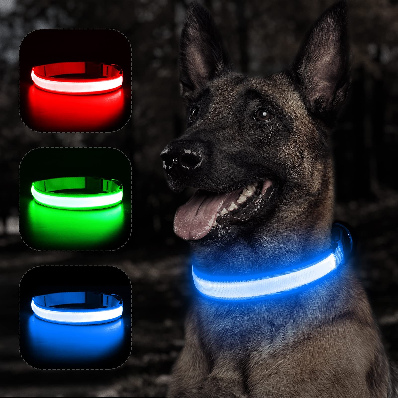 BSEEN Collar de perro con luz LED reflectante, recargable, resistente al agua, brilla en la oscuridad, para perros pequeños, medianos y grandes (azul rey, mediano)
