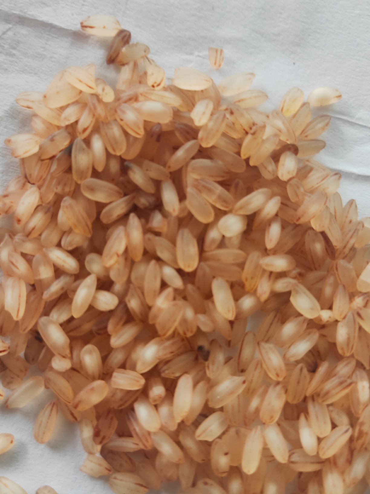 Double Horse Palakkadan Matta Rice | Single Boiled Rice | Kerala Matta ...