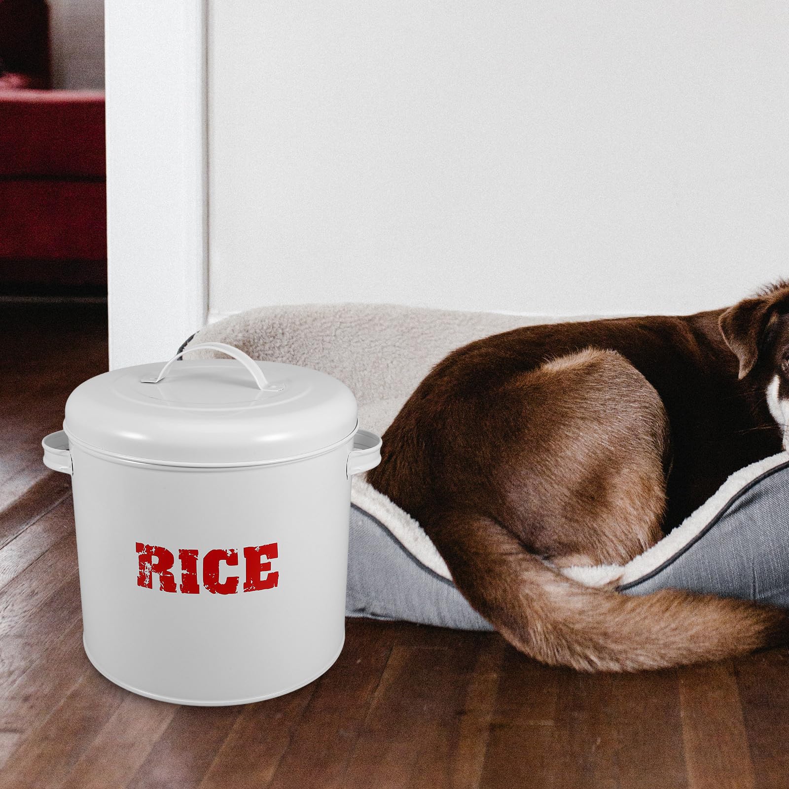 iplusmile Contenitore Cibo Cani Sigillato Grande Capacità in Ferro Zincato