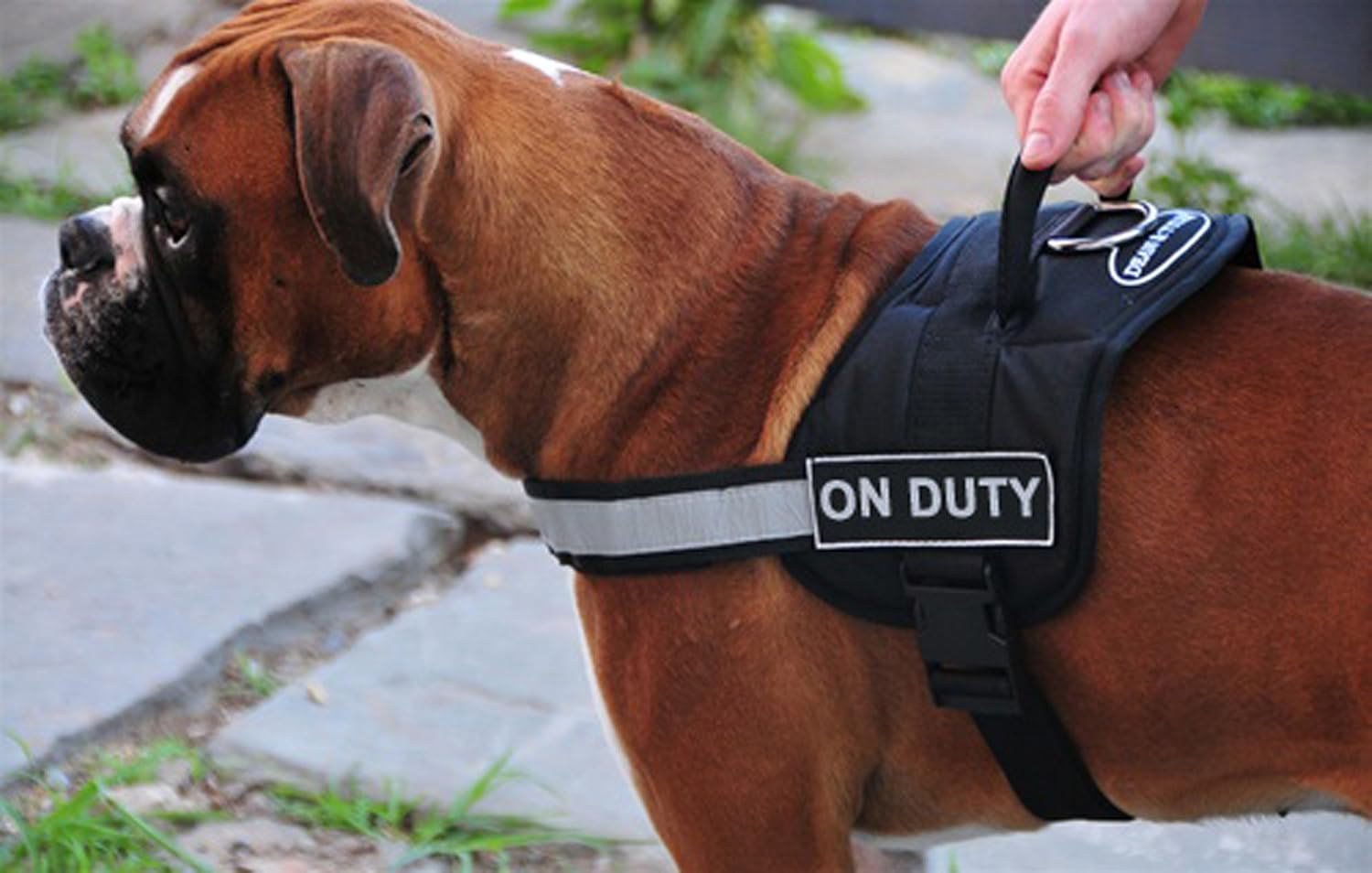 Dean and Tyler Works Harness with Removable Velcro Patches, On Duty, Fits Girth 22-Inch to 27-Inch, Small