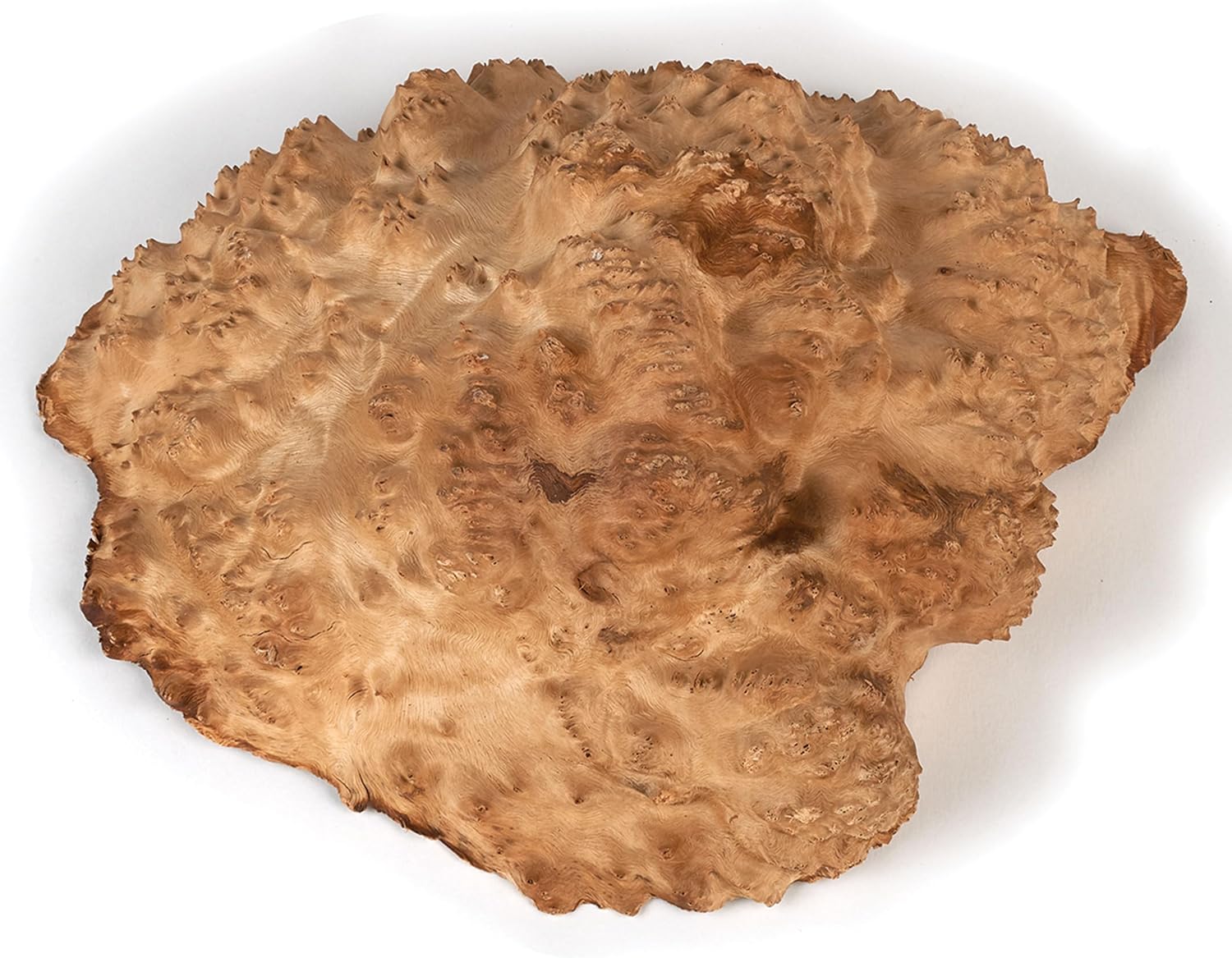 Woodcraft Australian Red Mallee Burl Cap 2Kg-4Kg 1-Piece