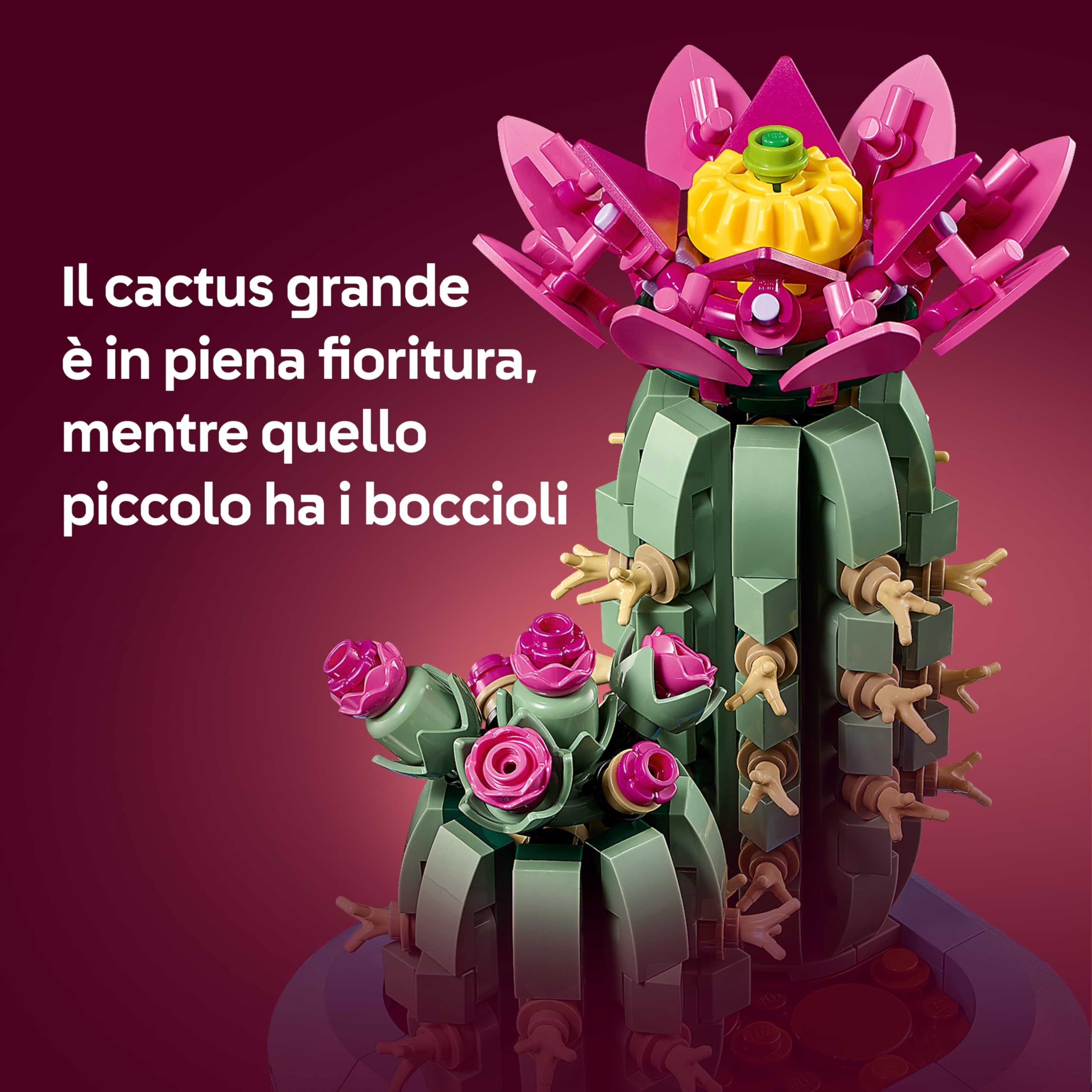 LEGO Botanicals Cactus in Fiore - Pianta Artificiale in Vaso con 2 Cactus e Fiori Finti - Decorazione Fai da Te per Camera da Letto - Regalo per Bambine da 9 Anni e Adulti Amanti delle Piante - 11509
