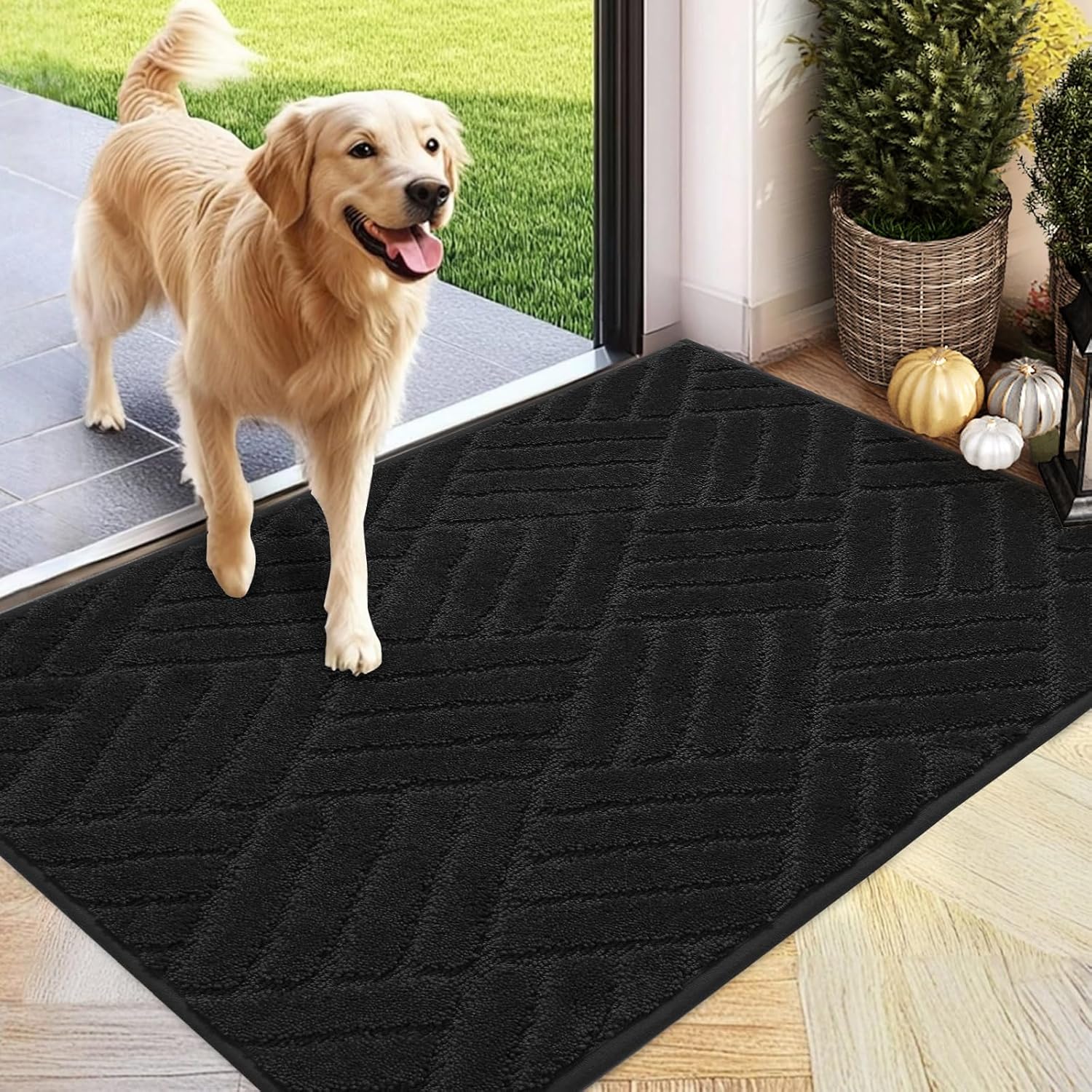 PLEASOR Front Door Mat, Absorbent Dirt Trapper Welcome Door mat Indoor, Non Slip Machine Washable Entryway Rug, Dog Door Mat, Shoes Scraper, Low Profile Doormat for Inside Floor, 20x32, Black Black 2'8" x 1'8" (Rectangular)