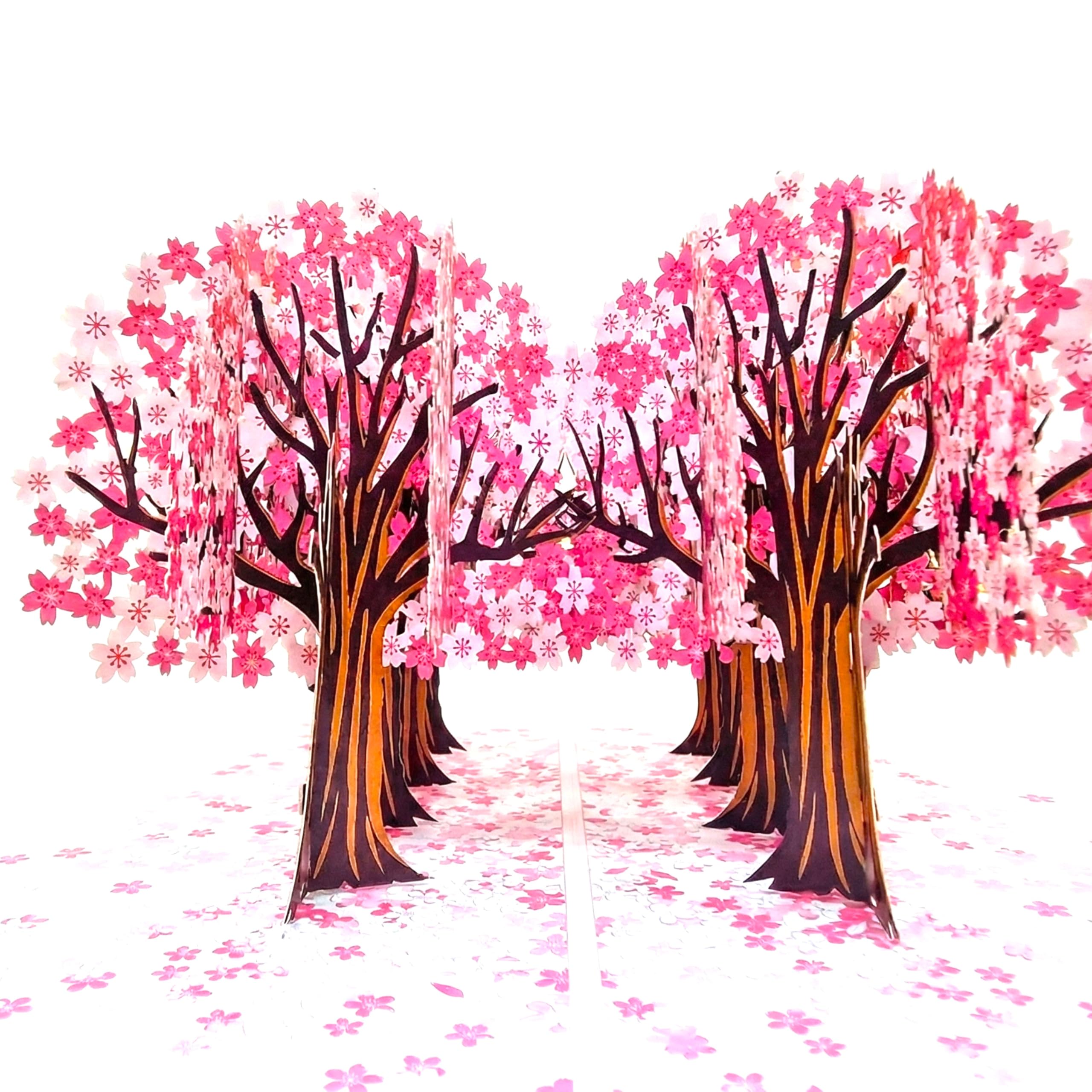 PopOra Cherry Blossom Street Pop Up Card – 3D Floral Avenue Birthday, Mothers Day, Thank You & Get Well Card for Women, Mum, Grandma, Teacher & Friends,Spring Sakura valentines card