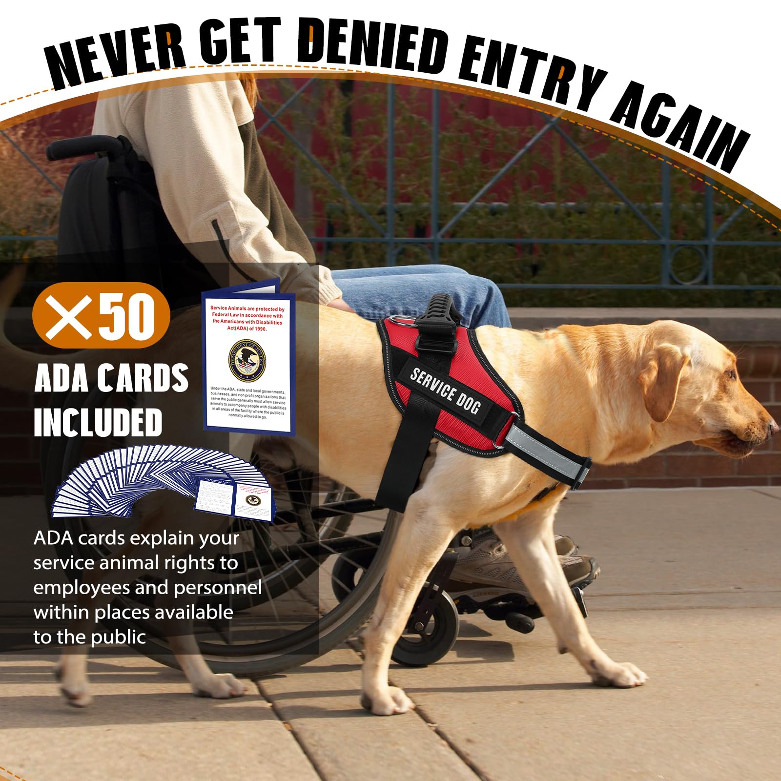 Support Dogs Non Profit Service Dog Training Ada Emotional Support