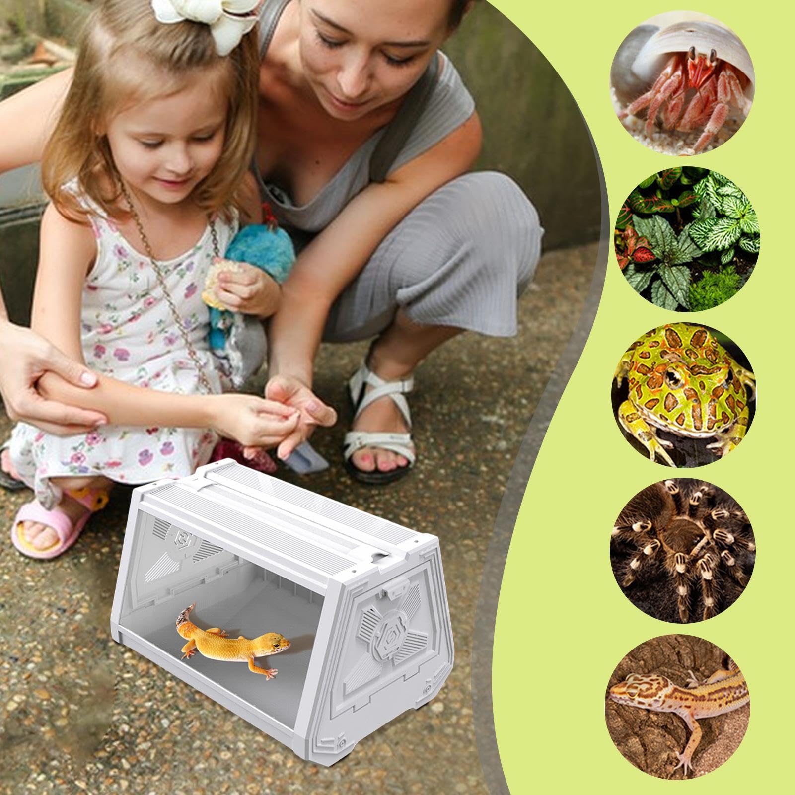 Zbiornik gadów, terrarium dla gadów Brodaty zbiornik Habitat | Projekt trapezoidalny, rozszerza pole widzenia, terrarium siedliska gadów dla skorpionów, kraby pustelnikowe