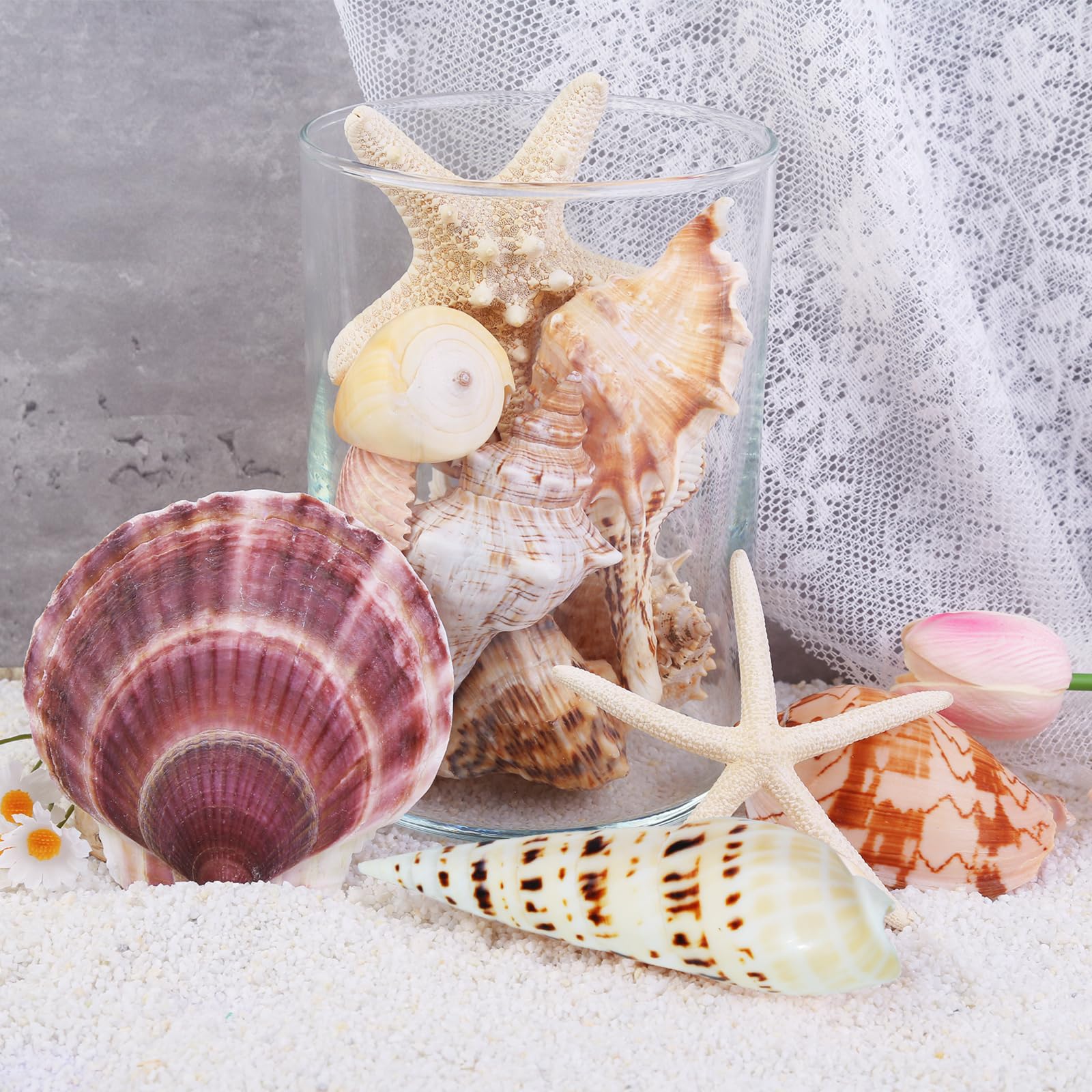Conchiglie marine per decorare 14 conchiglie grandi a forma di stella marina per feste in spiaggia, riempitivi per vasi, decorazioni per la casa, artigianato fai da te, bagno, decorazioni per acquari