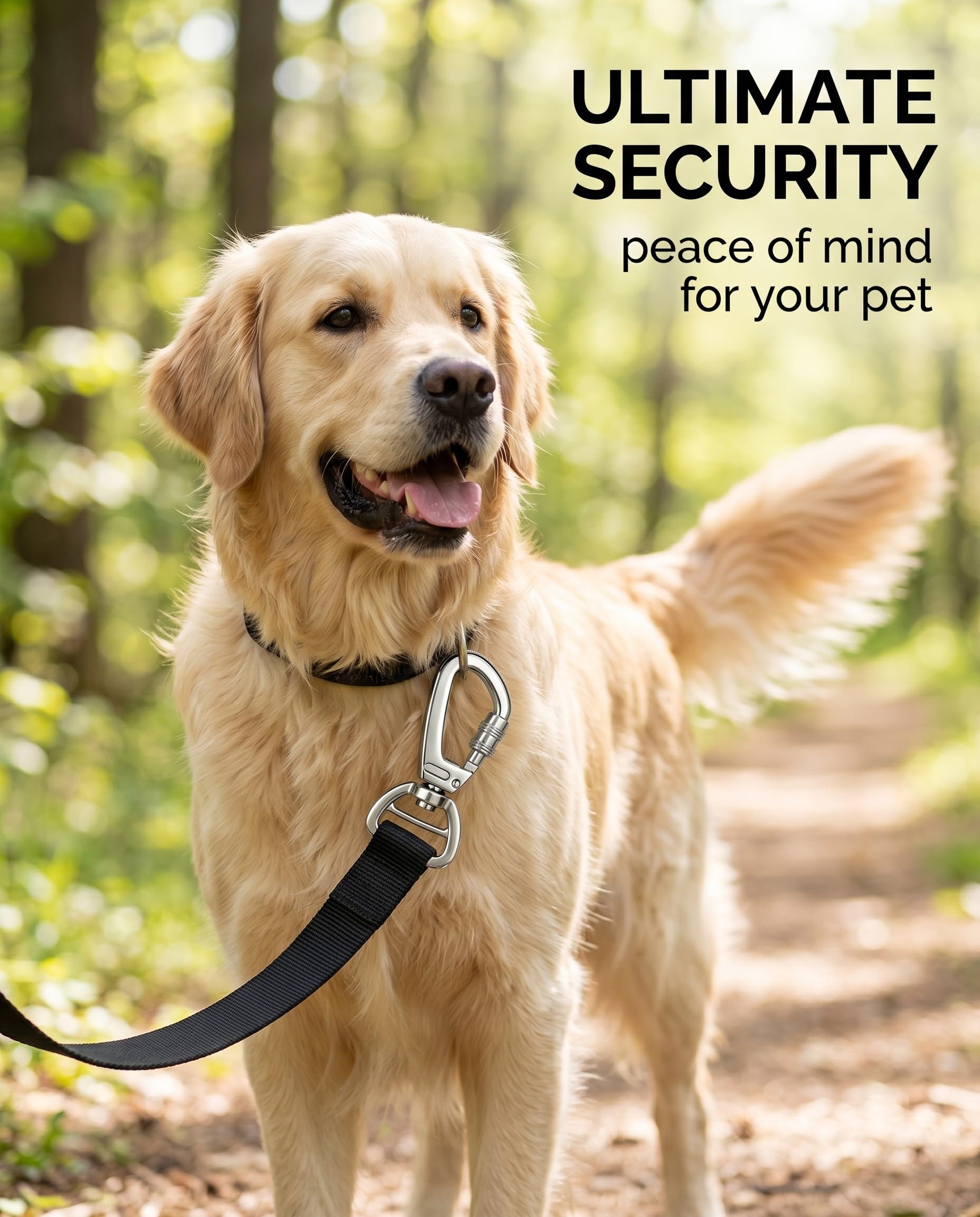 2 Pezzi Moschettone Girevole per Cane Guinzaglio e Chiavi Carabiner con Chiusura di Sicurezza a 360° Rotante Gancio Metallico Resistente per Collare Zaino e Attrezzatura Outdoor