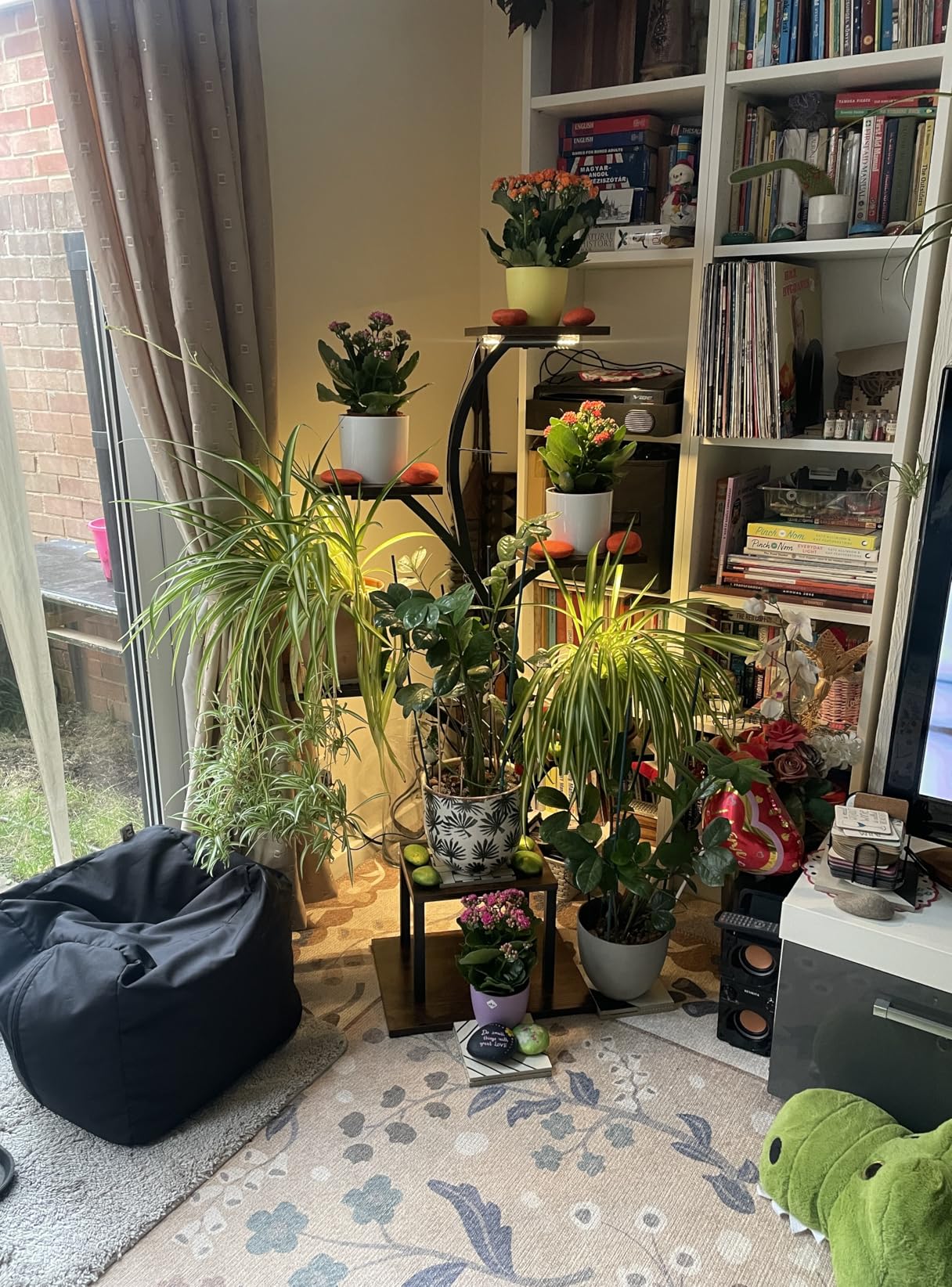 Customer photo