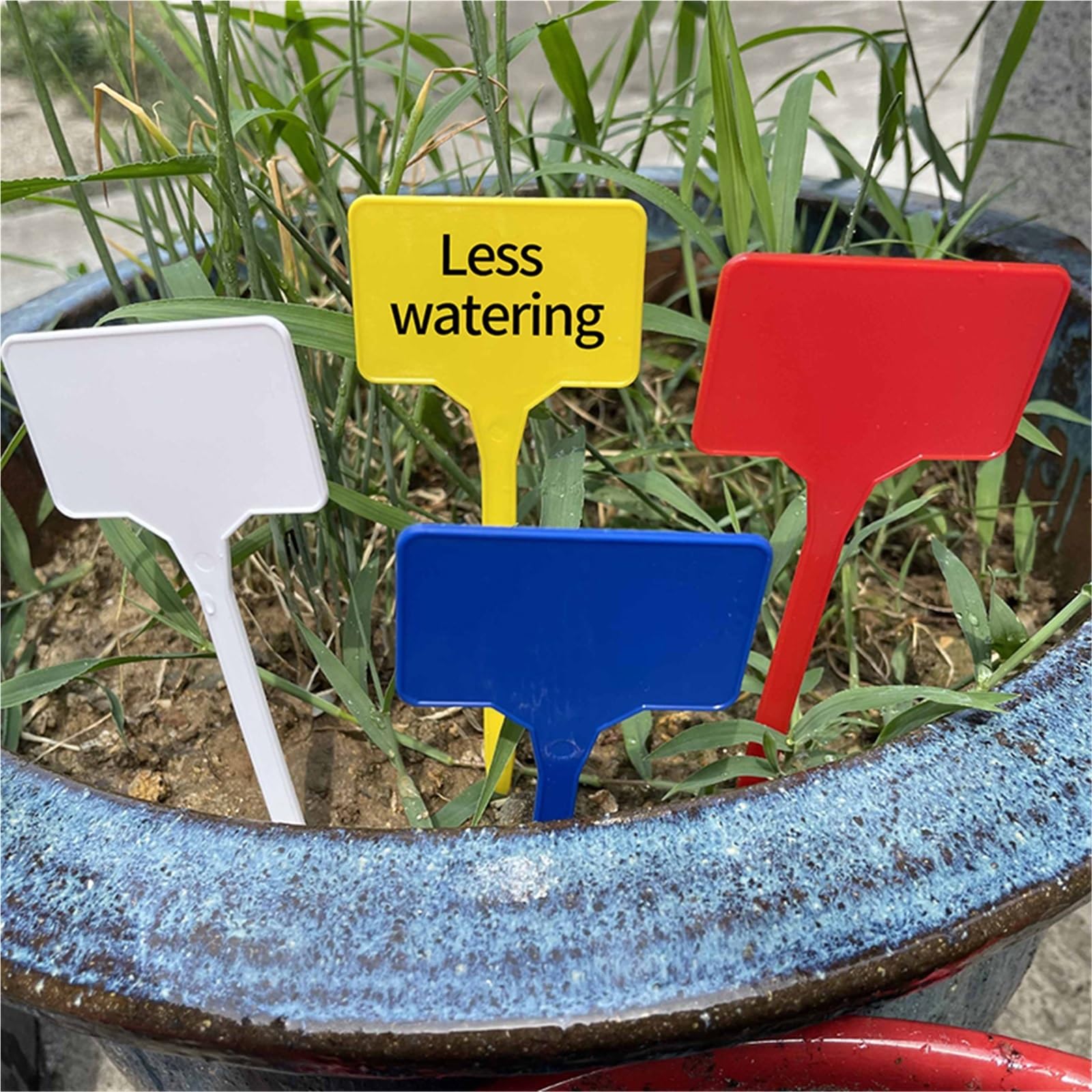 Etiquette Jardin Étiquettes de plantes jardin, étiquettes nom serre maison, outils marqueurs d'étiquettes graines étanches 10/50/100 pièces(White,100pcs)