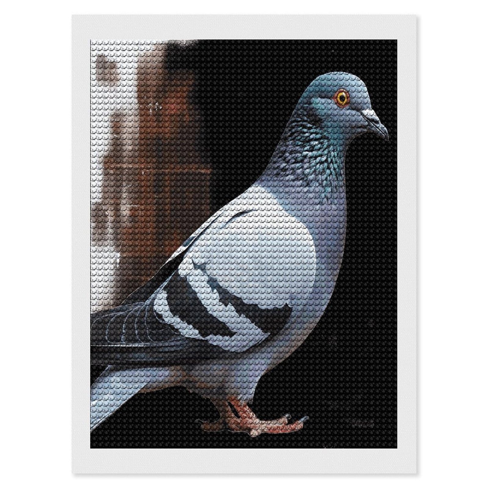 JTREHY Pigeon Diamond Art Kits Personalized DIY Round Diamond Painting Kits for Beginner Full Drill Diamonds Dots Paintings for Adults Gem Art Crafts Home Decor