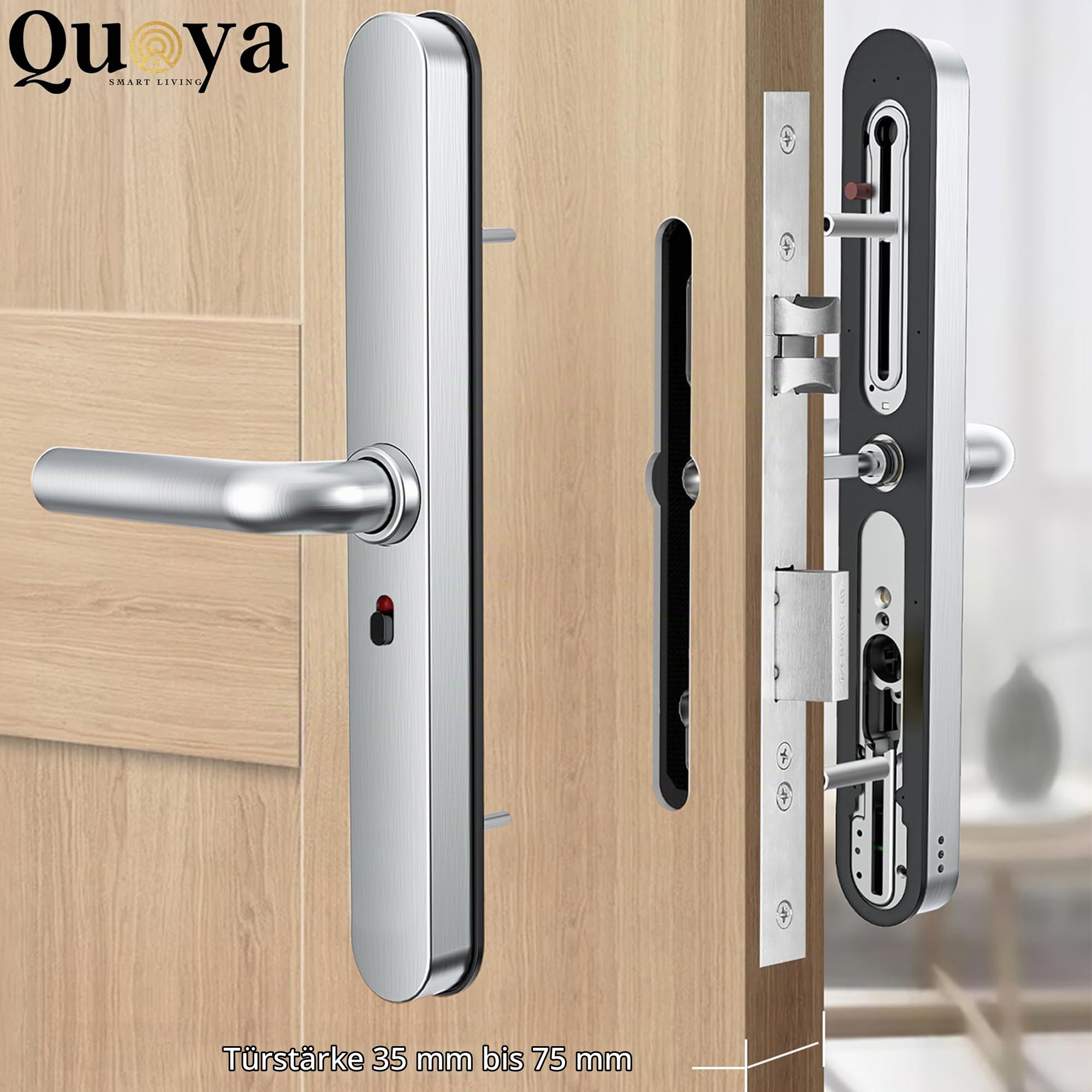 QUOYA D1 Smart Türschloss, 75° Max Drehwinkel, IP55 Wasserdicht, Entriegelungsmethode (Fingerabdruck, RFID-Tastenkarte, Pin/Passcode, App, Mechanischer Schlüssel) (Silver)