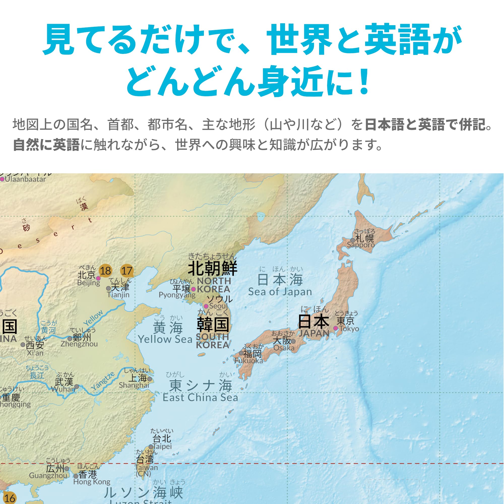 Amazon | Englife 世界ポスター 日英バイリンガル A1サイズ (世界（国