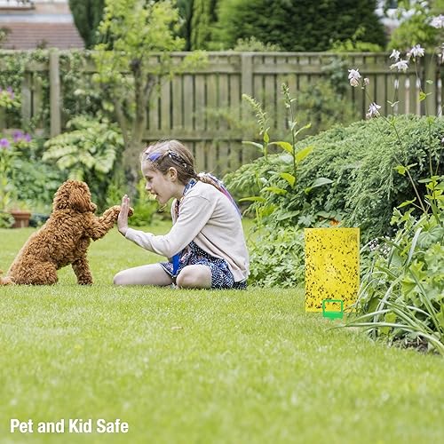 Miniatura 7 de BLACK+DECKER Trampas para moscas de la fruta para interiores y para moscas al aire libre, trampas para mosquitos y moscas amarillas de doble cara,