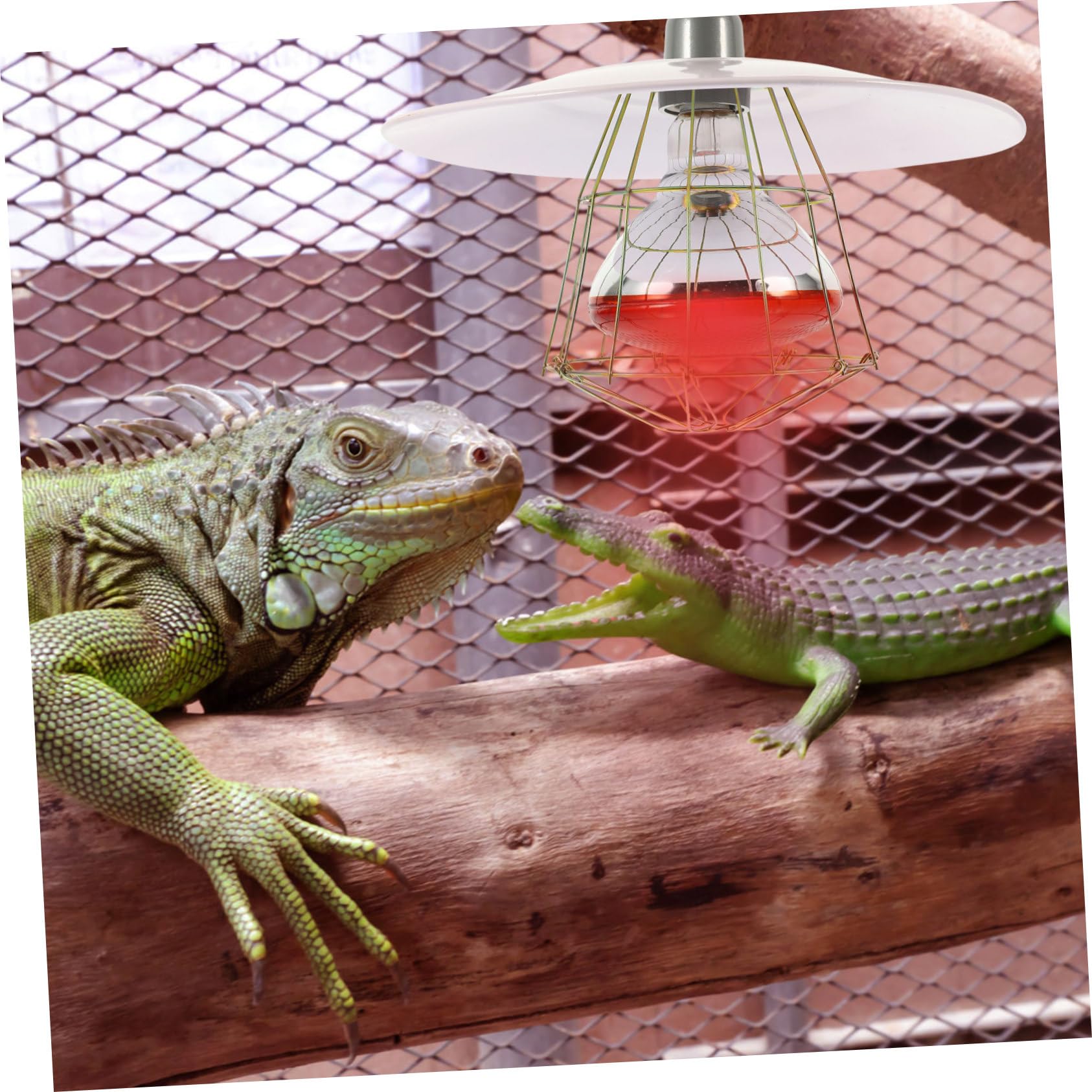 Toddmomy Lampada Riscaldante per Incubatrice Bestiame, Coperchio in Metallo e Alluminio, Resistente alle Alte Temperature, per Gabbia e Recinto Animali