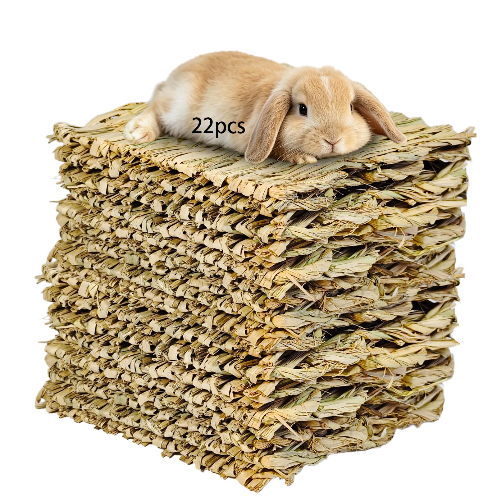 Tapis en jonc de mer pour lapin | Litière et accessoire cage rongeur x22