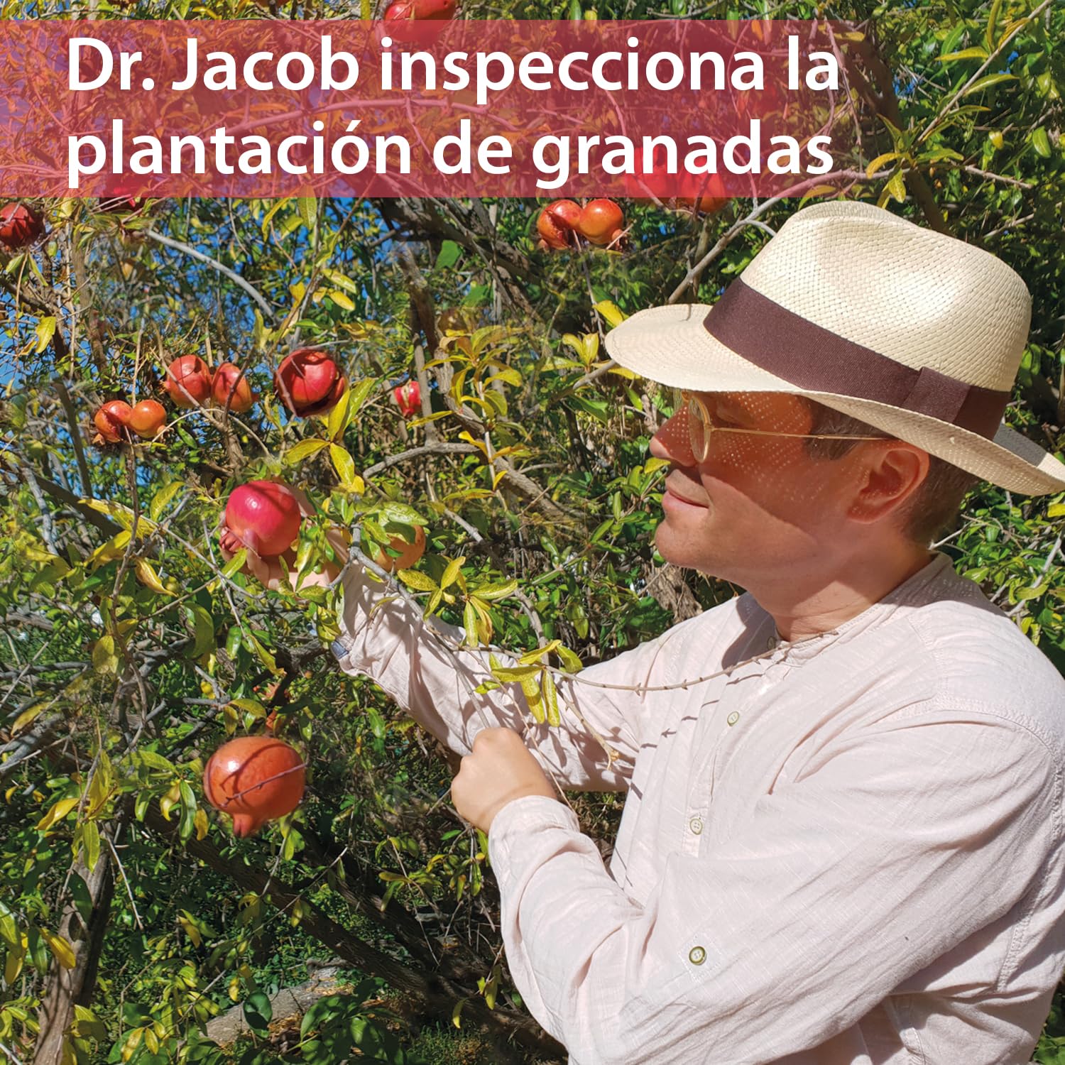 Dr. Jacob’s GranaProstan Fermentado 100 Cápsulas 700 mg Polifenoles Punicalagina Extracto de Granada