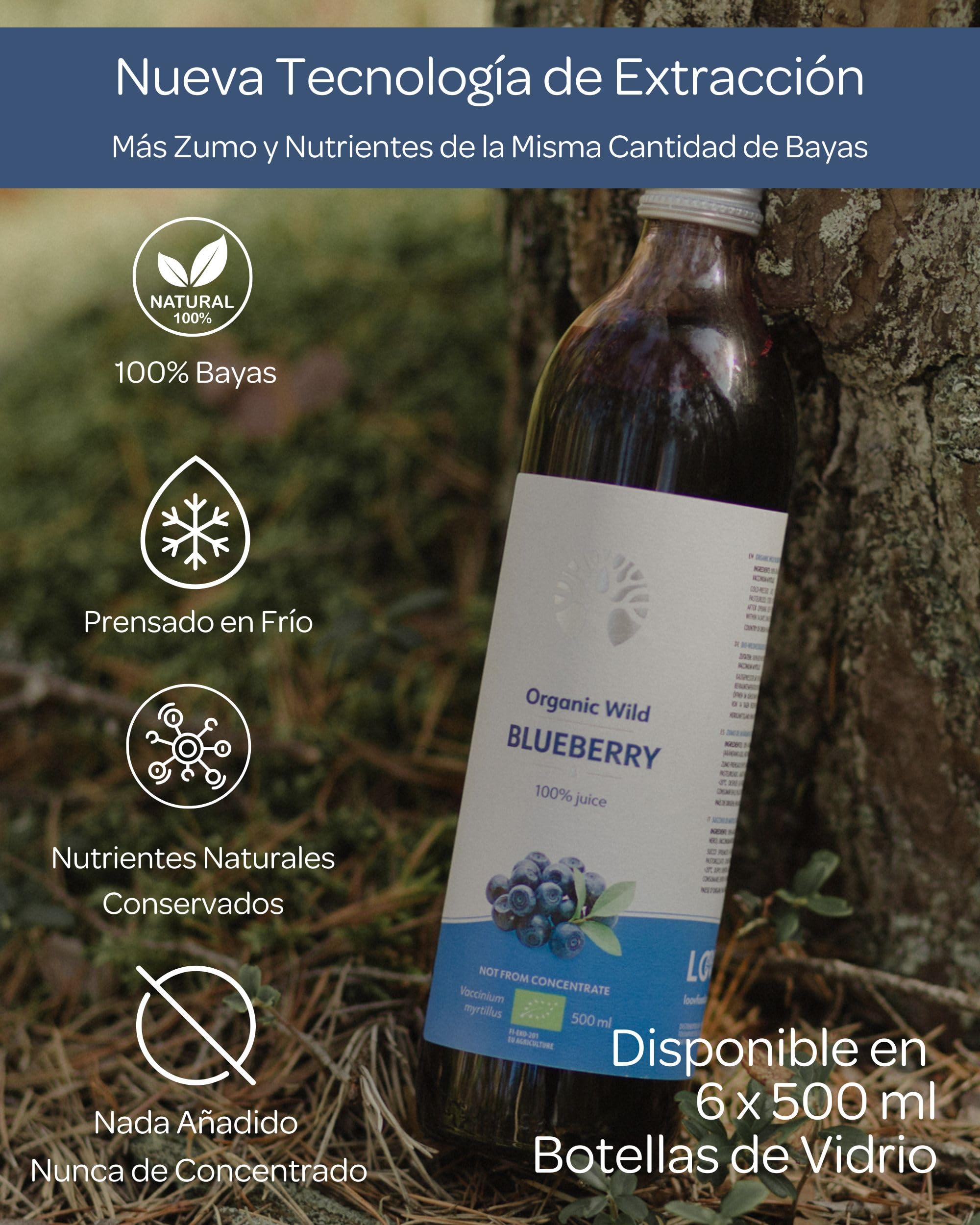 LOOV Zumo de arándanos silvestres ecológicos 100% puro prensado en frío 6 x 500 ml
