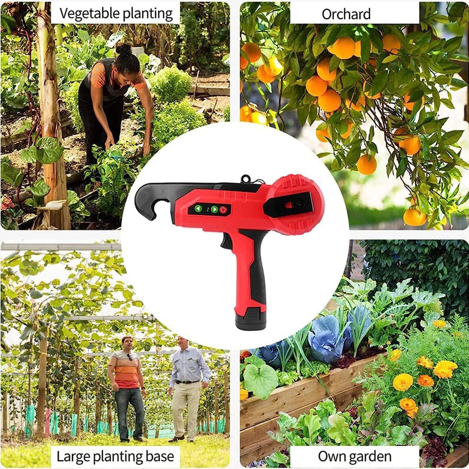 Attache de Plantes électrique, Ficeuse de vignes Agriculture - Convient pour Raisins, framboises, tomates - Diamètre Max 2,5 cm - Outil de Jardin Efficace