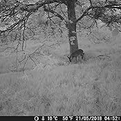 Gode funktioner og godt lavet