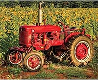 Vista 1 de Springbok 's - Rompecabezas de 1000 piezas fabricado en Estados Unidos