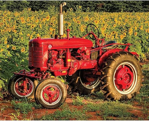 Springbok 's - Rompecabezas de 1000 piezas fabricado en Estados Unidos