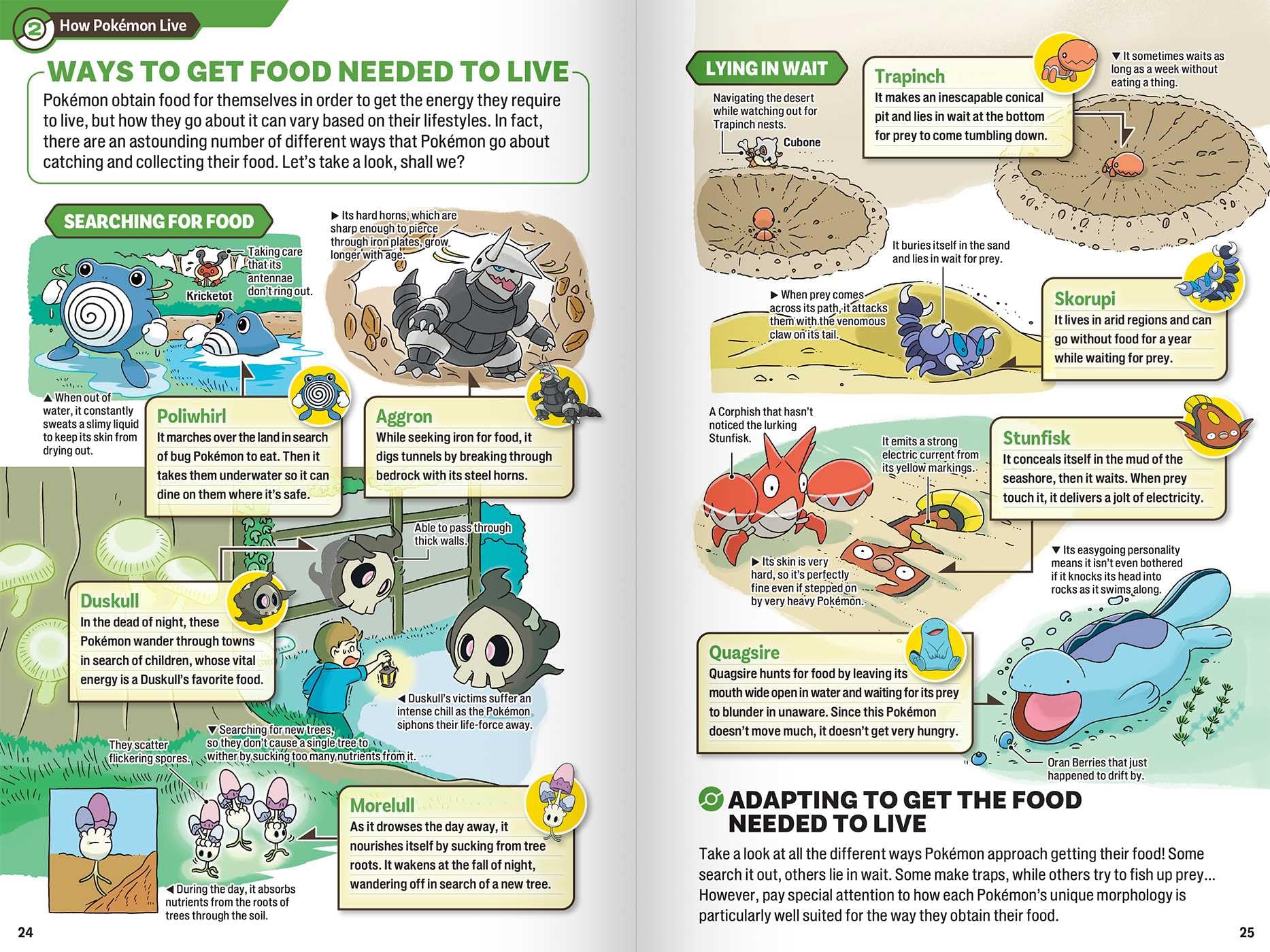 Pokécology An Illustrated Guide to Pokémon Ecology (Pokemon Pikachu Press)