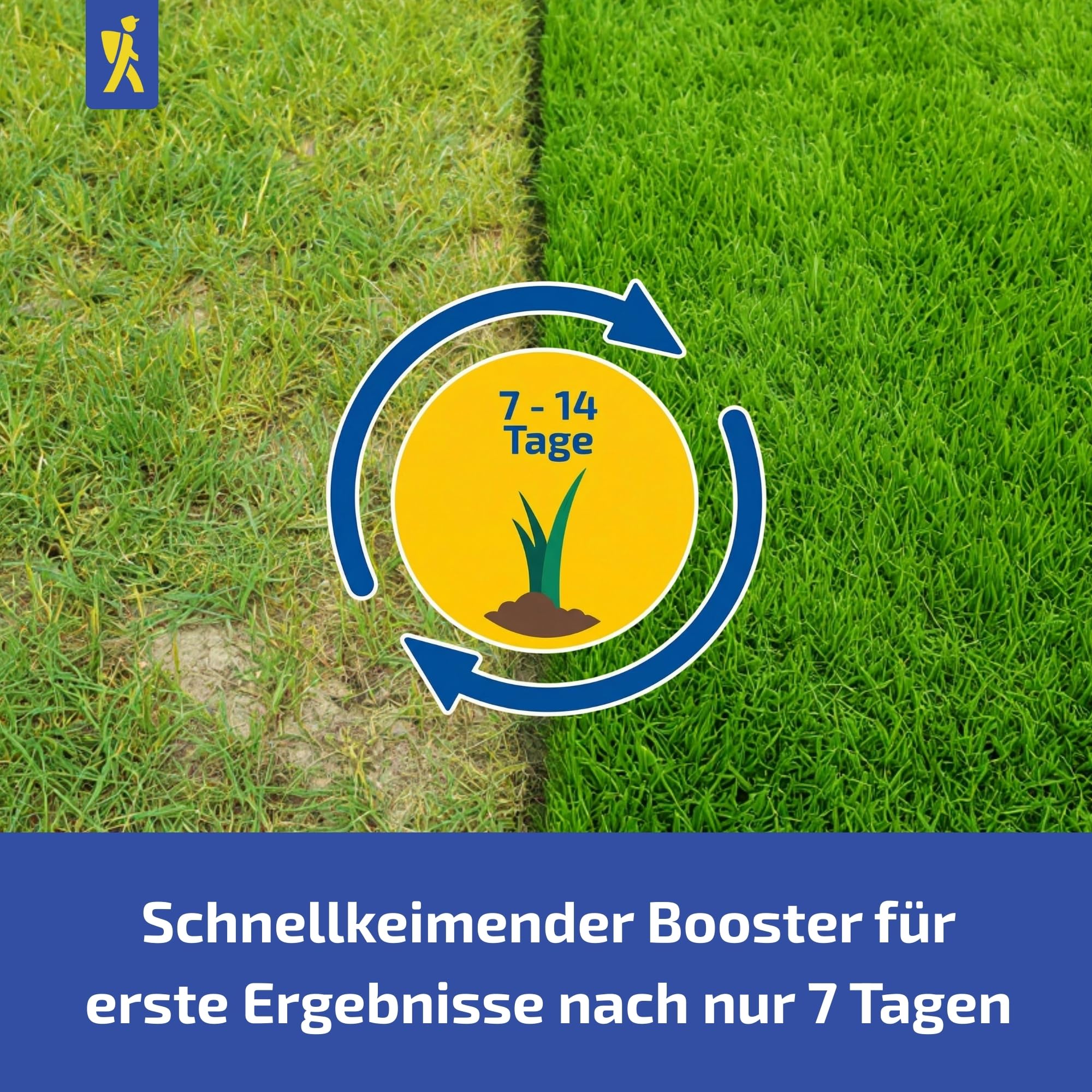 Kiepenkerl Rasen Nachsaat-Booster Grassamen | 1,8kg für 70m², Schnellkeimend, Strapazierfähig, Spiel- & Sportrasen, Dichter Traumrasen in wenigen Tagen