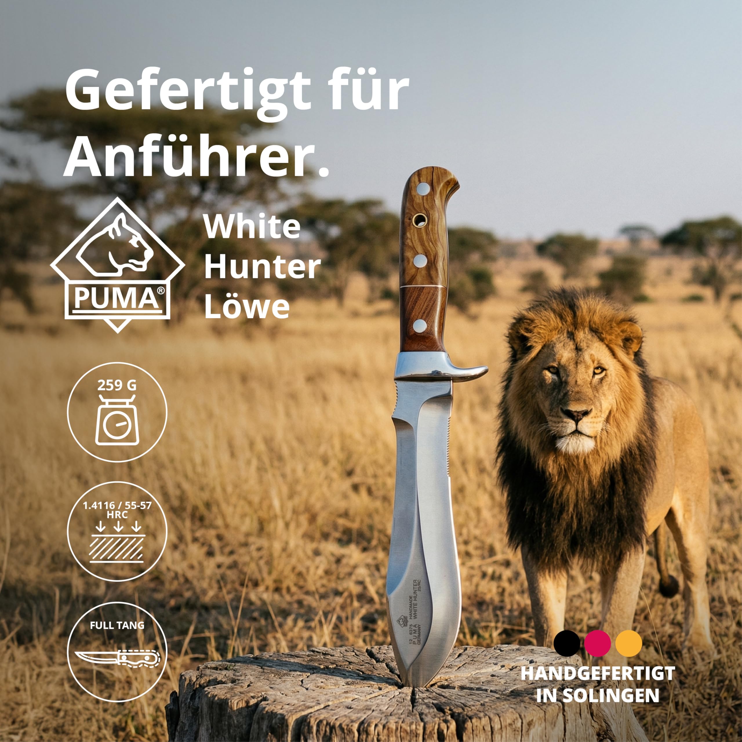 PUMA - White Hunter Löwe – Sonderedition des legendären Jagdmessers - handgefertigt in Solingen - Griff aus Oliven- & Pflaumenholz – 155mm Klinge - Vollerl - mit Sattellederscheide