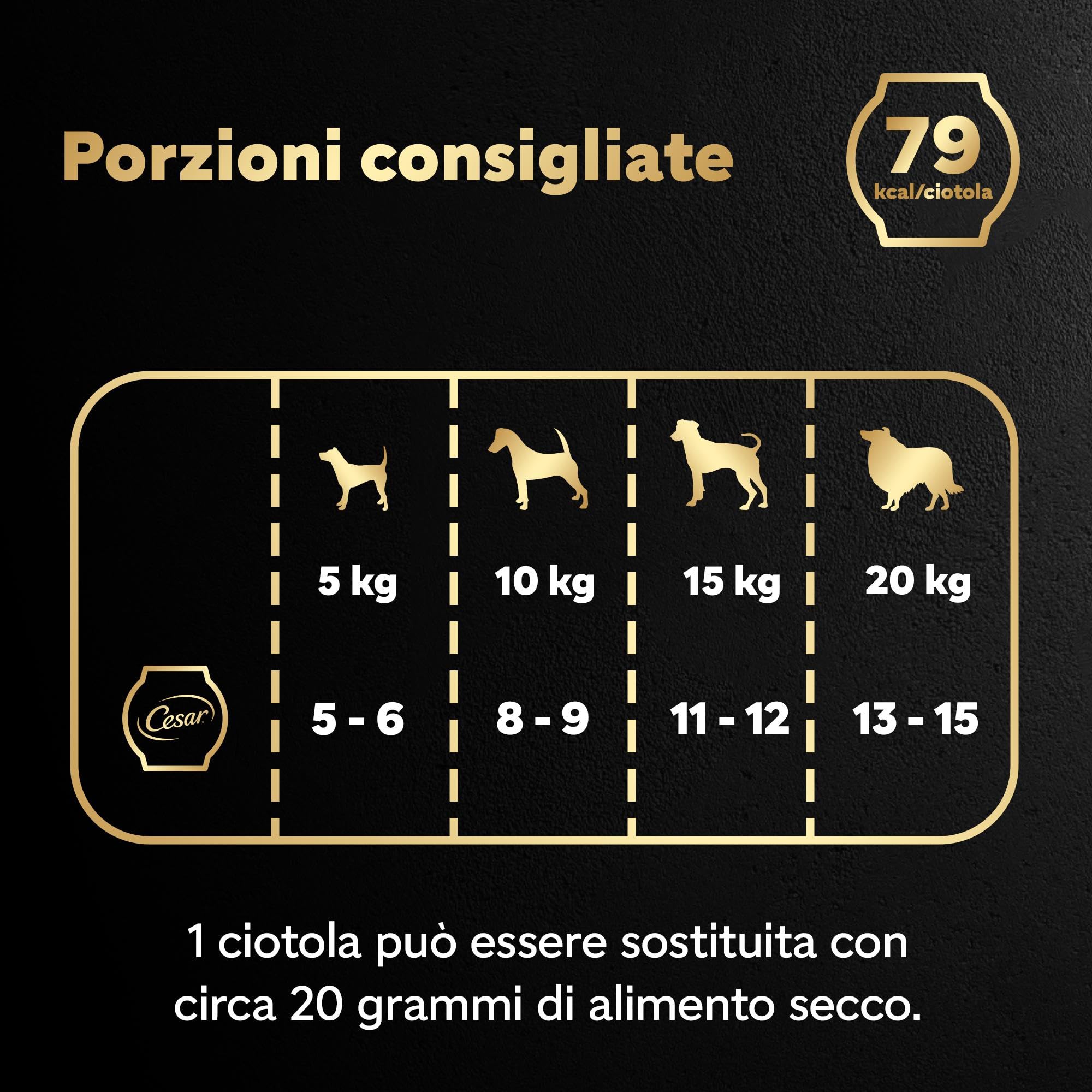 CESAR Fresh Bowl Cani Adulti Pollame con Riso, Fagiolini, Zucca Salsa 85g, 10 Confezioni