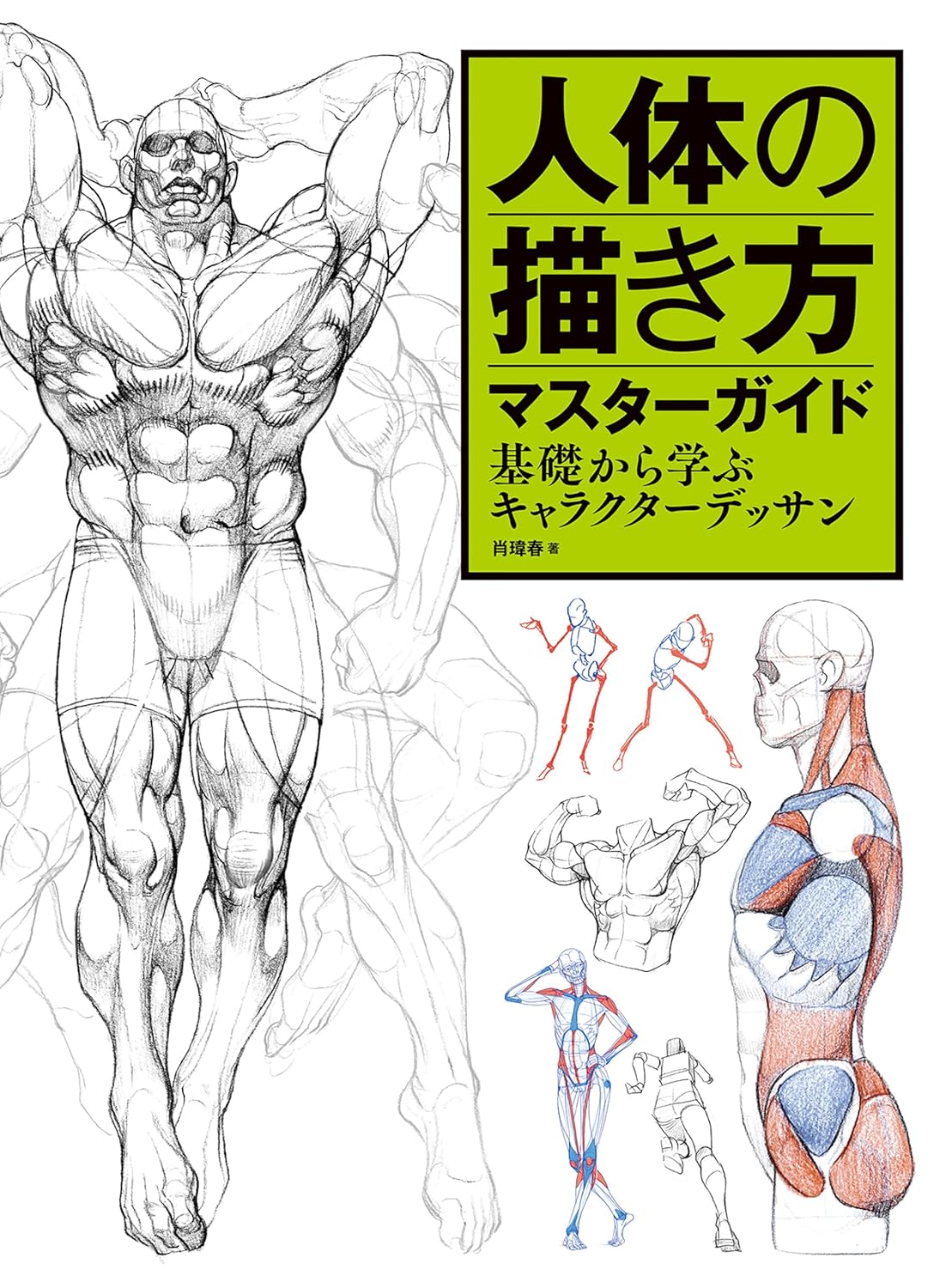 人体の描き方マスターガイド 基礎から学ぶキャラクターデッサン