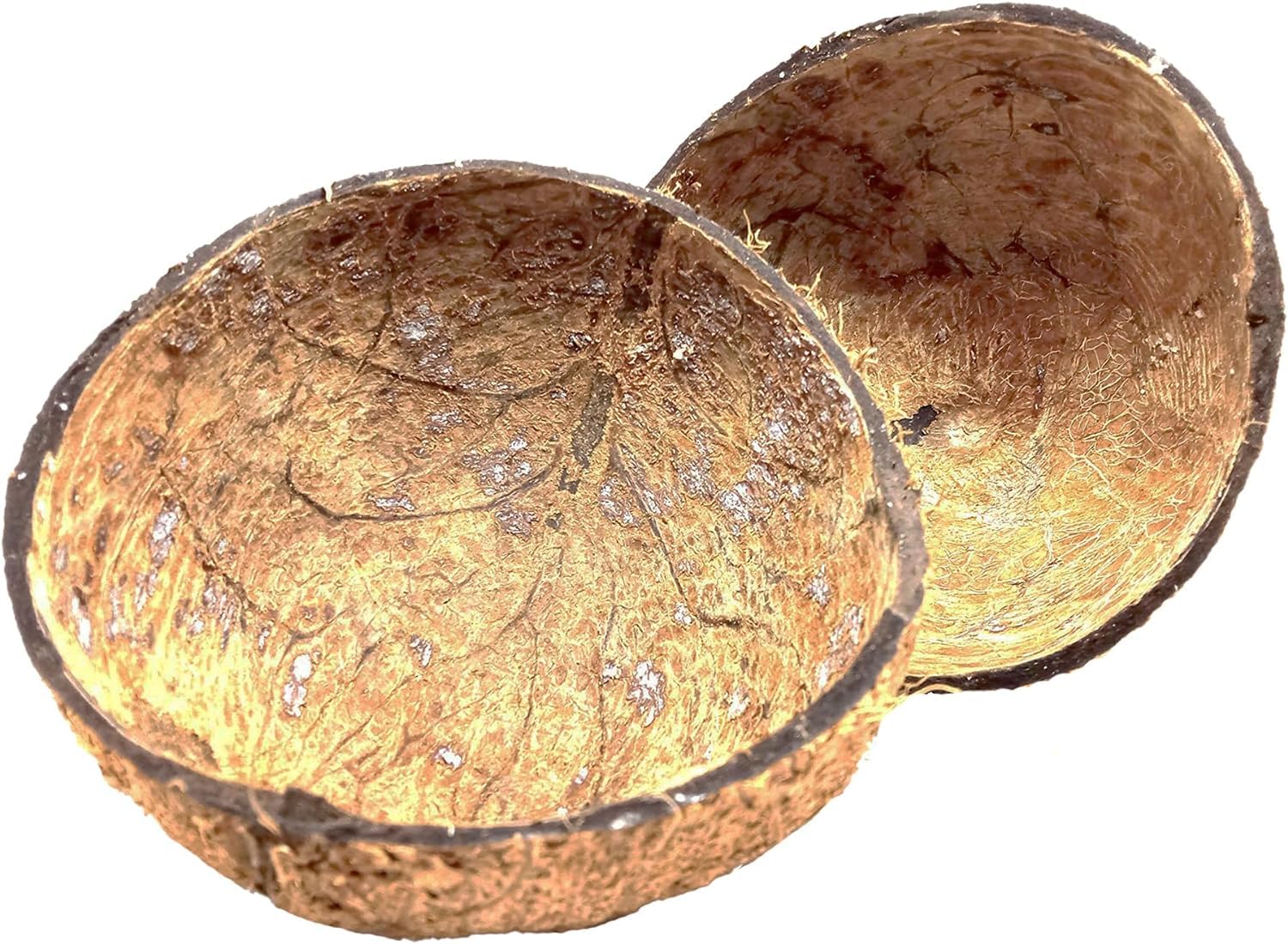 2 pezzi di noce di cocco a metà/Eco-Friendly Ceylon 100% naturale noce di cocco biologico metà per guscio di cocco artigianale fatto a mano / 2 pezzi HALVES