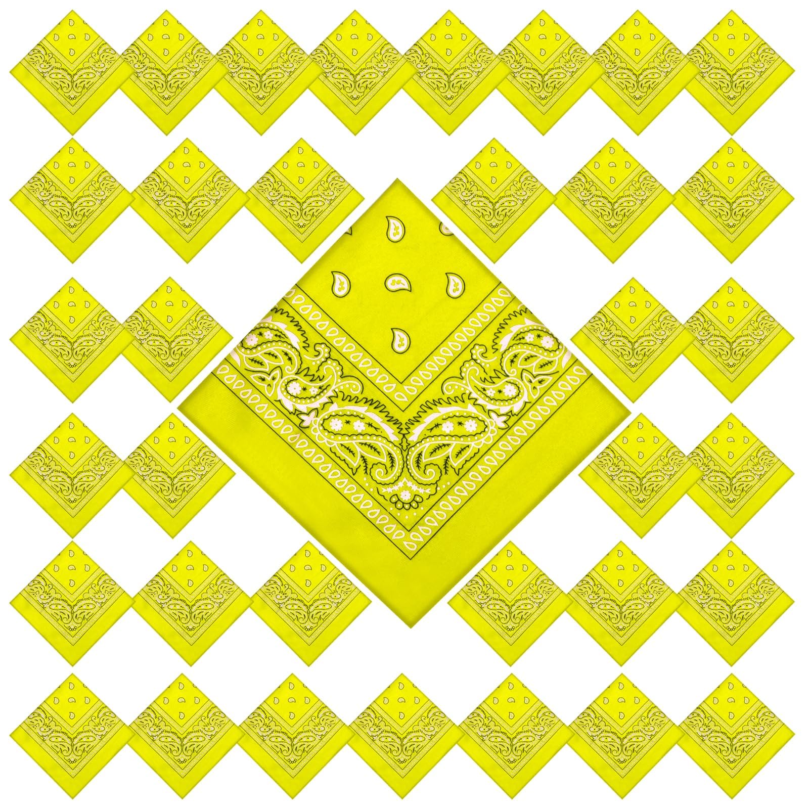 36 Pcs Paisley Cowboy Bandanas Bulk Multi Purpose Polyester Headband Scarf Kerchiefs for Men Women Pet Party Costume