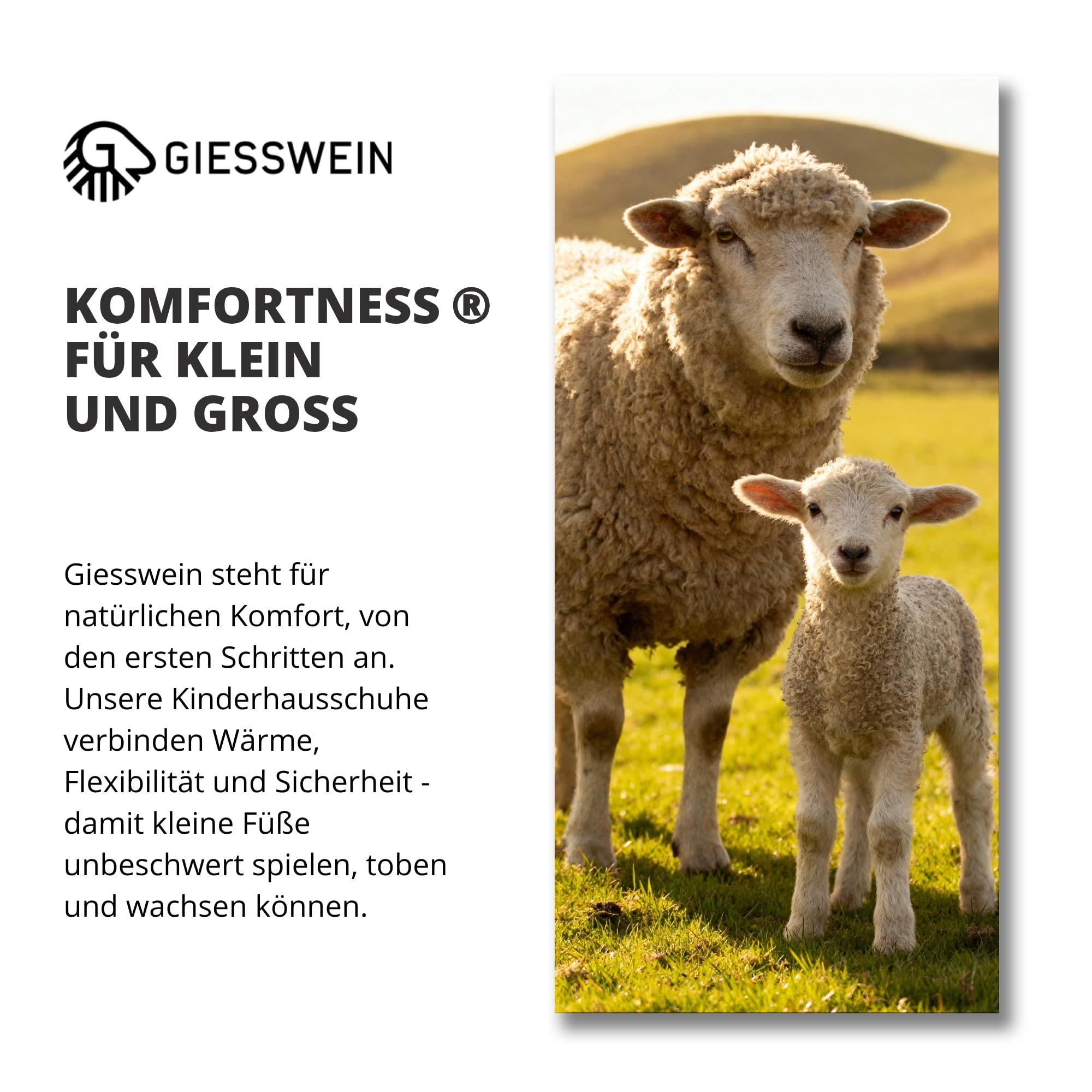 Giesswein Zapatillas Oberstaufen
