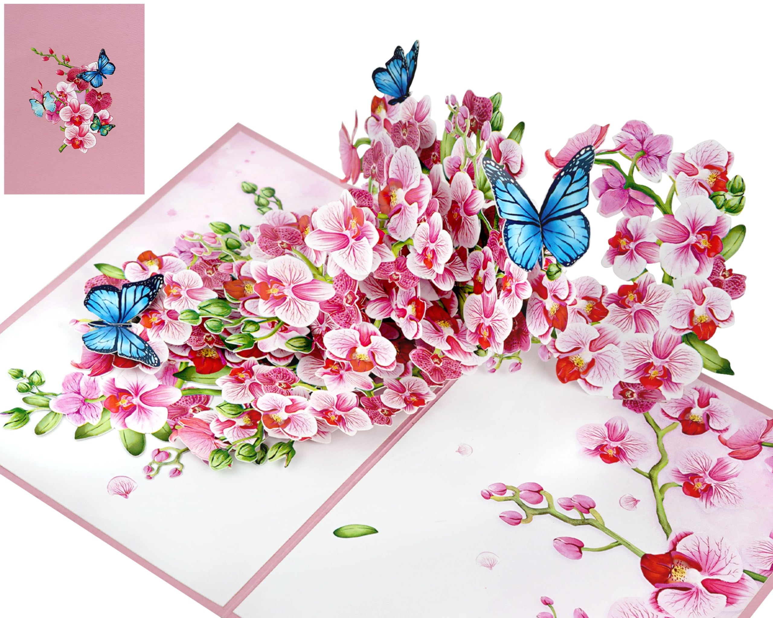 Card Mavens Orchid 3D Pop Up Birthday Cards for Women Mum Grandmother Mother's Day Cards Daughter Aunt Girlfriend Sister in Law Anniversary Card for Wife Birthday Cards Retirement Pop Up โ image 1