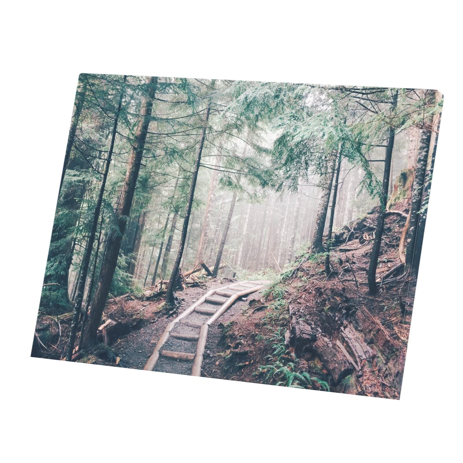 Tableau forêt de pin brumeuse affiche d'art Premium - 4