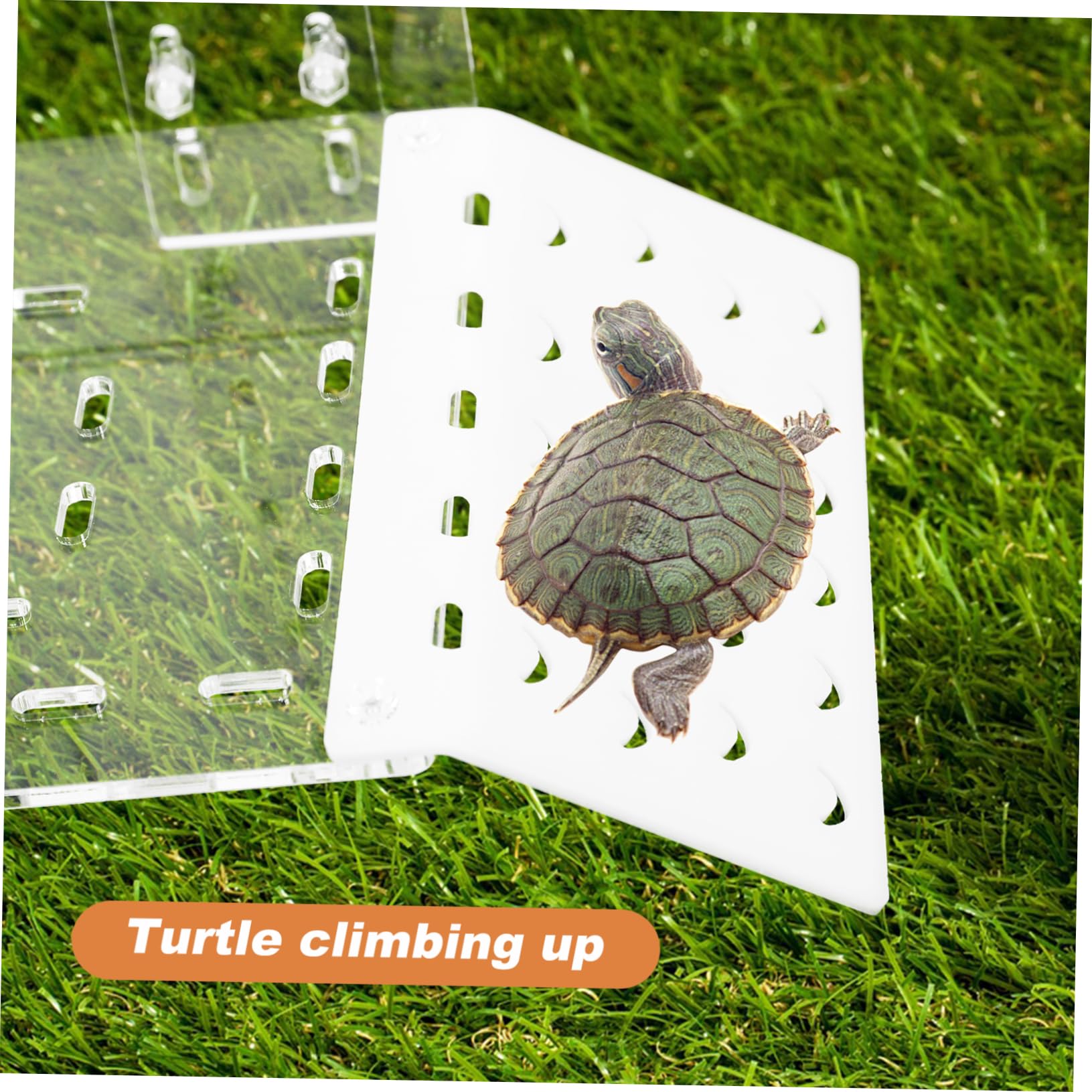 SEWOART Climbing Shelf for Turtle Tank Basking Platform Reptile Decor Aquarium