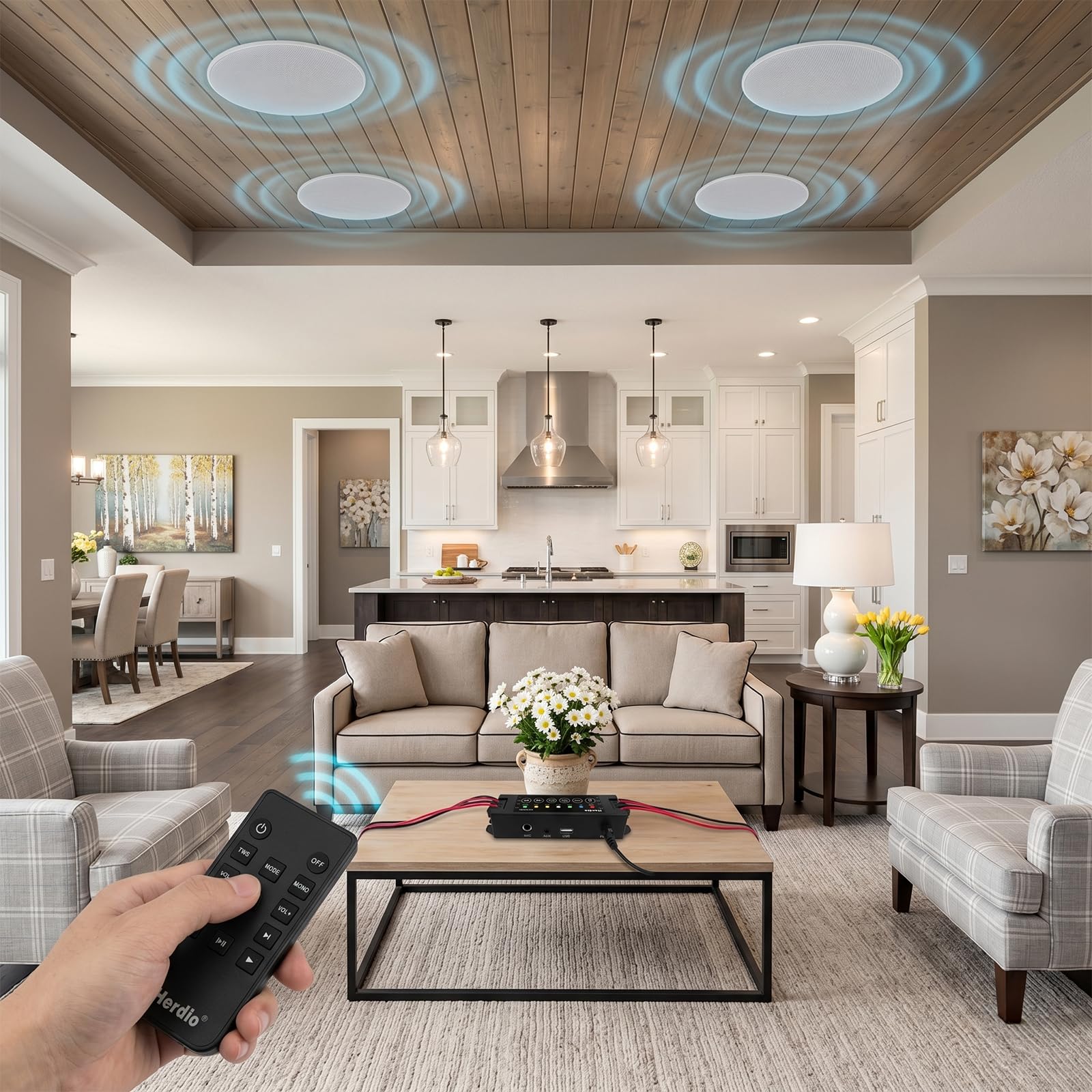 Herdio Bluetooth Ceiling Speakers - Wireless Home Audio -5 Herdio Bluetooth Ceiling Speakers - Wireless Home Audio -5