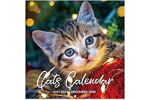 2024-2025 Wall Calendar: Embrace the Cuteness with Cutie Cat
