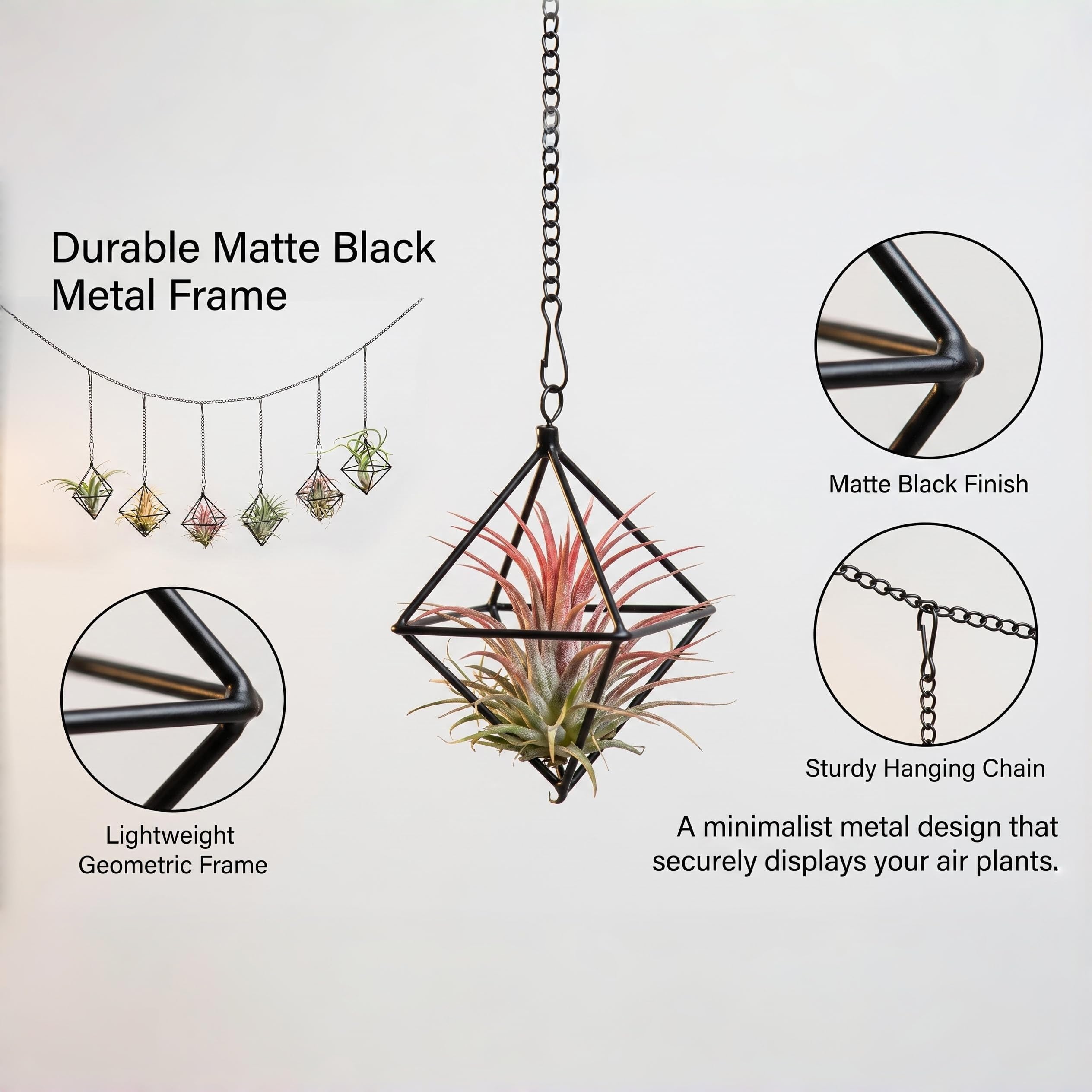 Lot de 6 supports à suspendre pour plantes aériennes noires - Petits aérofères en métal - Cadre géométrique Tillandsia avec chaînes pour fixation murale - Décoration Himmeli (sans plante)