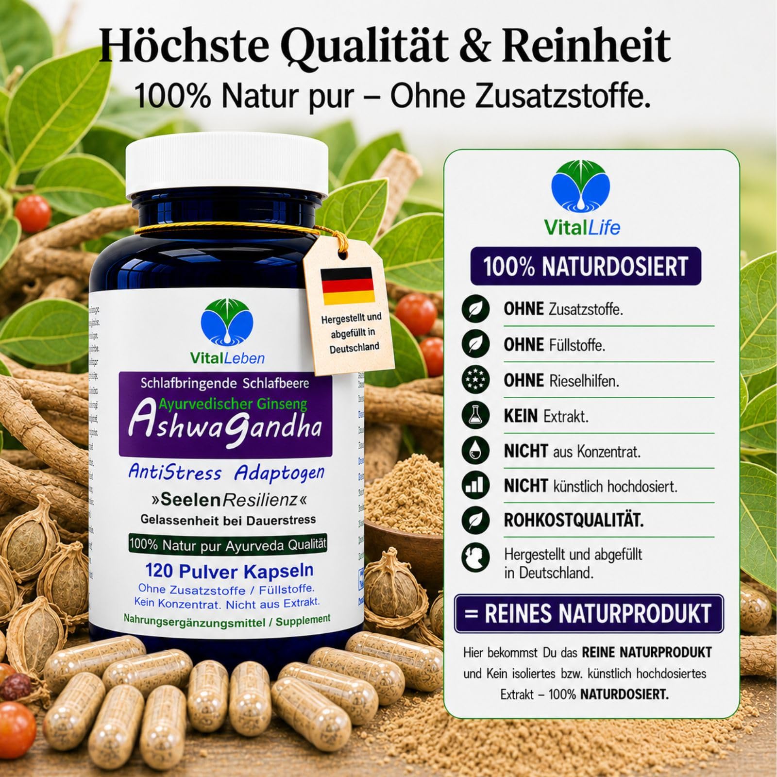 Ashwagandha Naturwurzel Withania somnifera 360 (3x120) Pulver Kapseln. AYURVEDA-ADAPTOGEN. Reine Schlafbeere, NATURDOSIERT. Nicht künstlich hochdosiert. OHNE Zusatzstoffe. OHNE Füllstoffe 27180-3