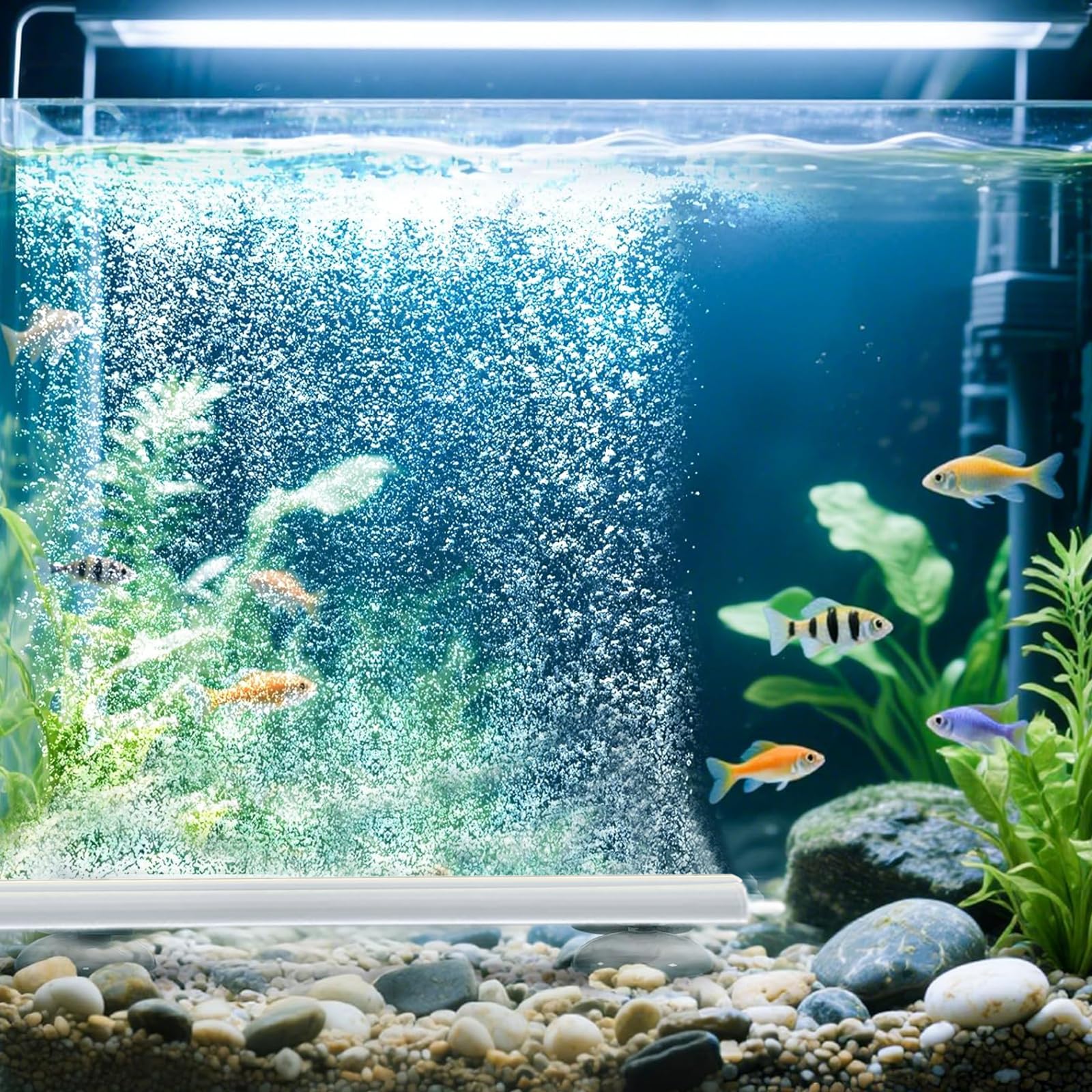 Bulleur Aquarium Bulleur pour Aquarium Cylindre Diffuseur Silencieux pour Déco Pompes a Air Nano, Petits Seaux et Poissons, Crevettes (20cm)