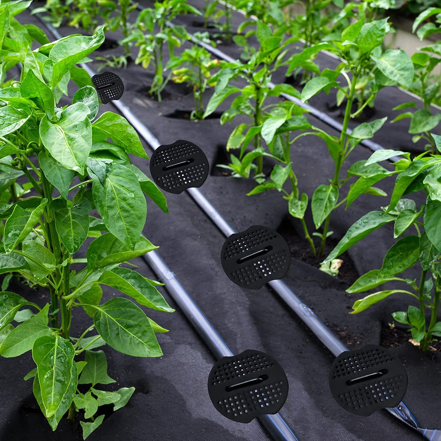 50 Piquets D'Ancrage Galvanisés 150 Mm + 50 Kits Nettoyage - Pour Toile Anti-Mauvaises Herbes, Bâche, Tente - Fixation Sol Stable