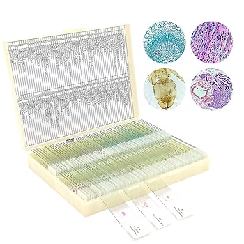Amazon.co.jp: プレパラート120枚 顕微鏡観察用 植物 菌 動物
