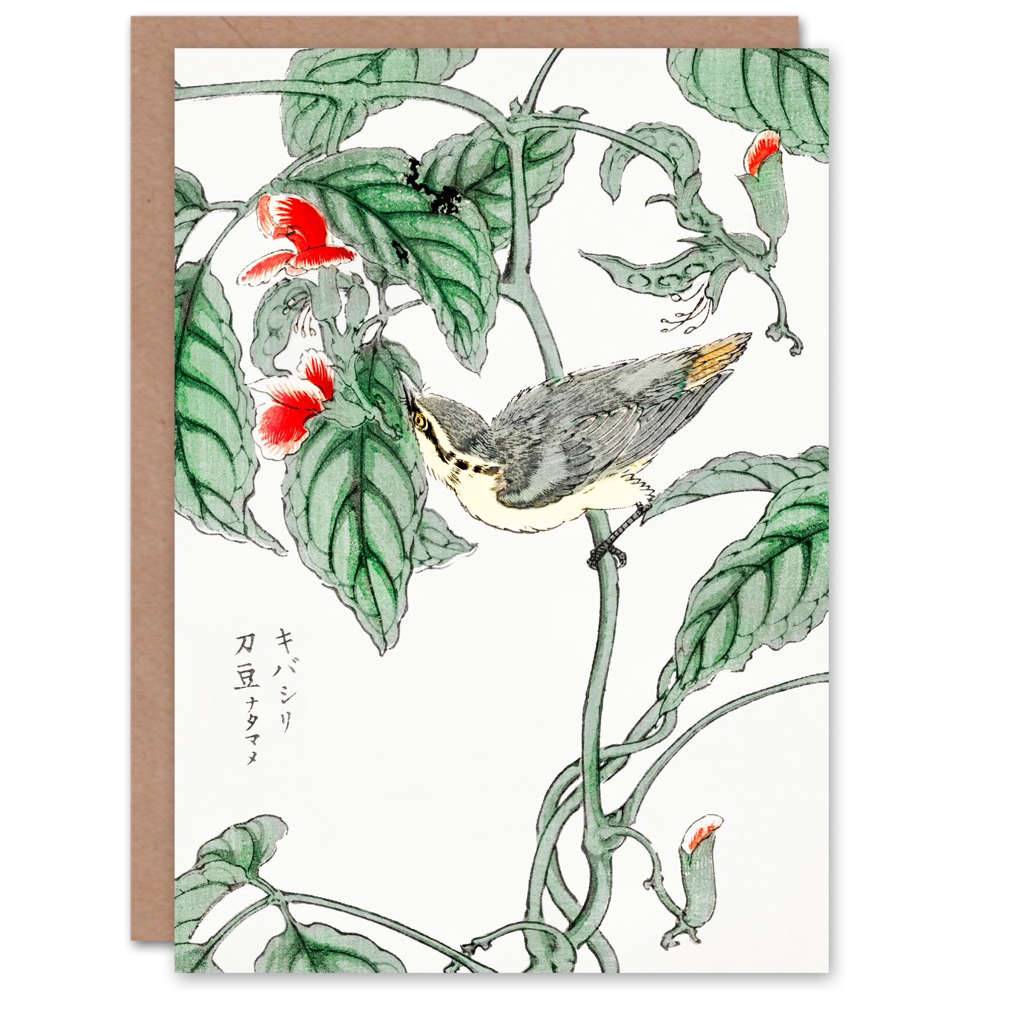 Artery8 Numata Kashu Art Card Tree Creeper and Pea Japanese