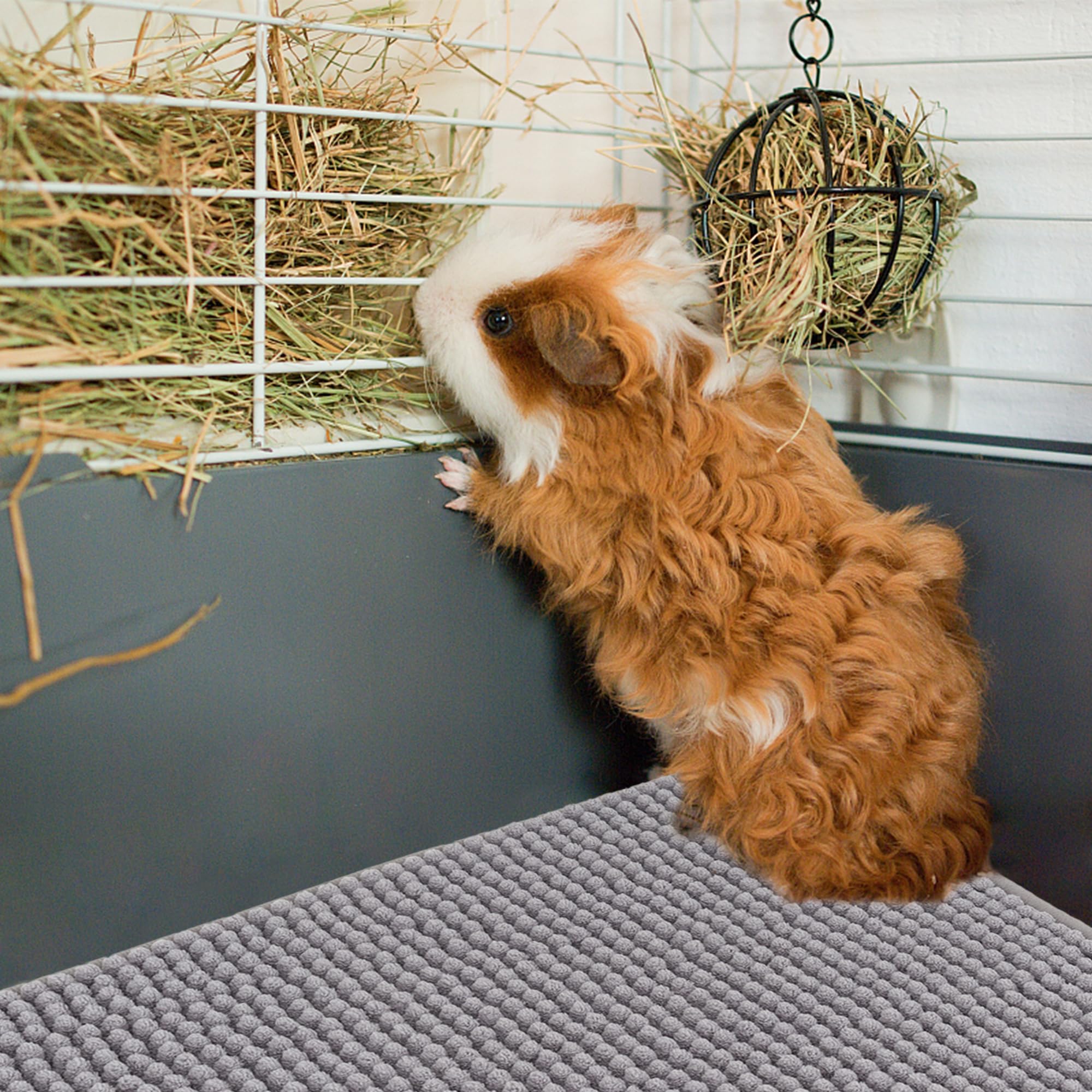 Rat Cage Guinea Pig Pee Pads Washable Pcs 24 X 16 Inch Liner