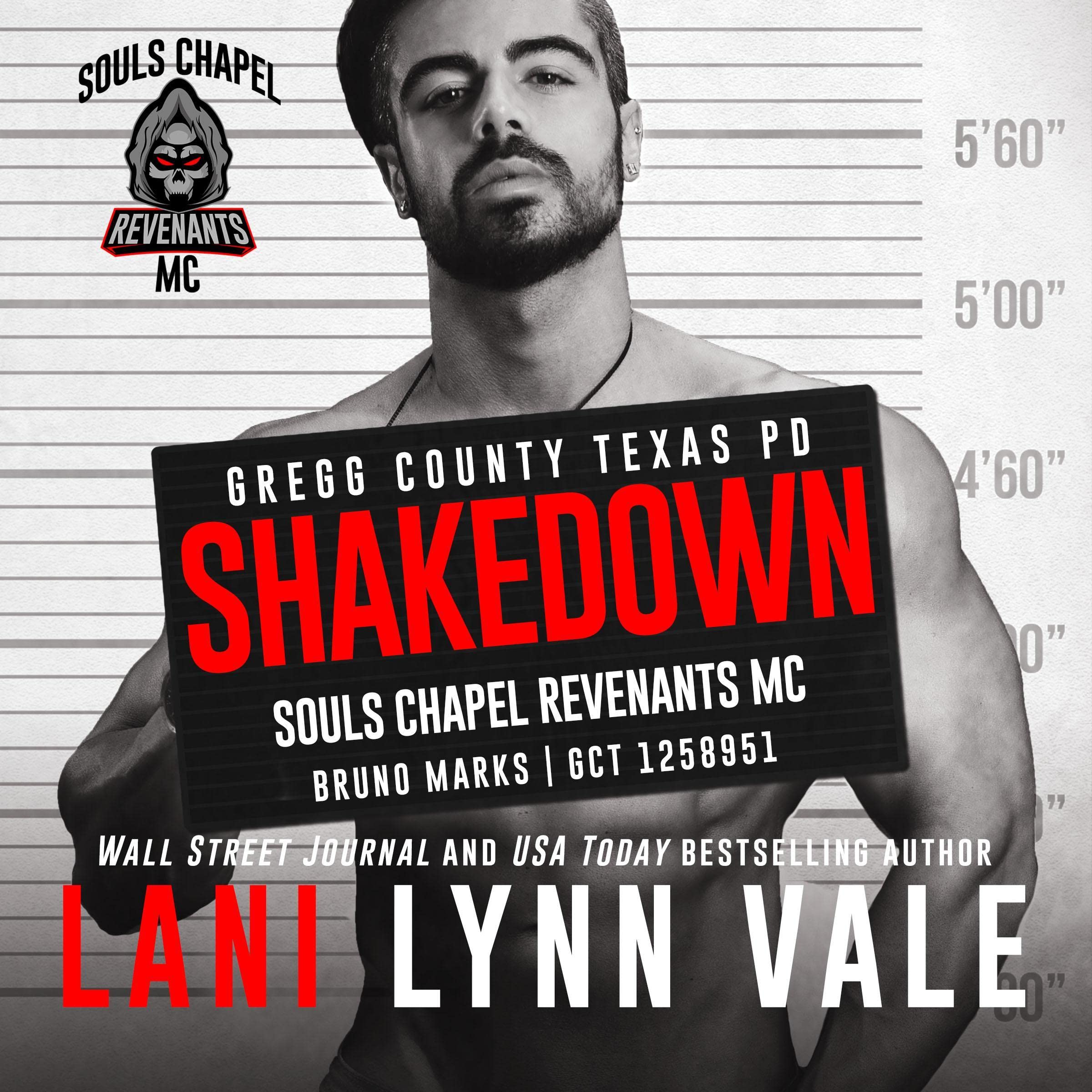 Cover art for Shakedown