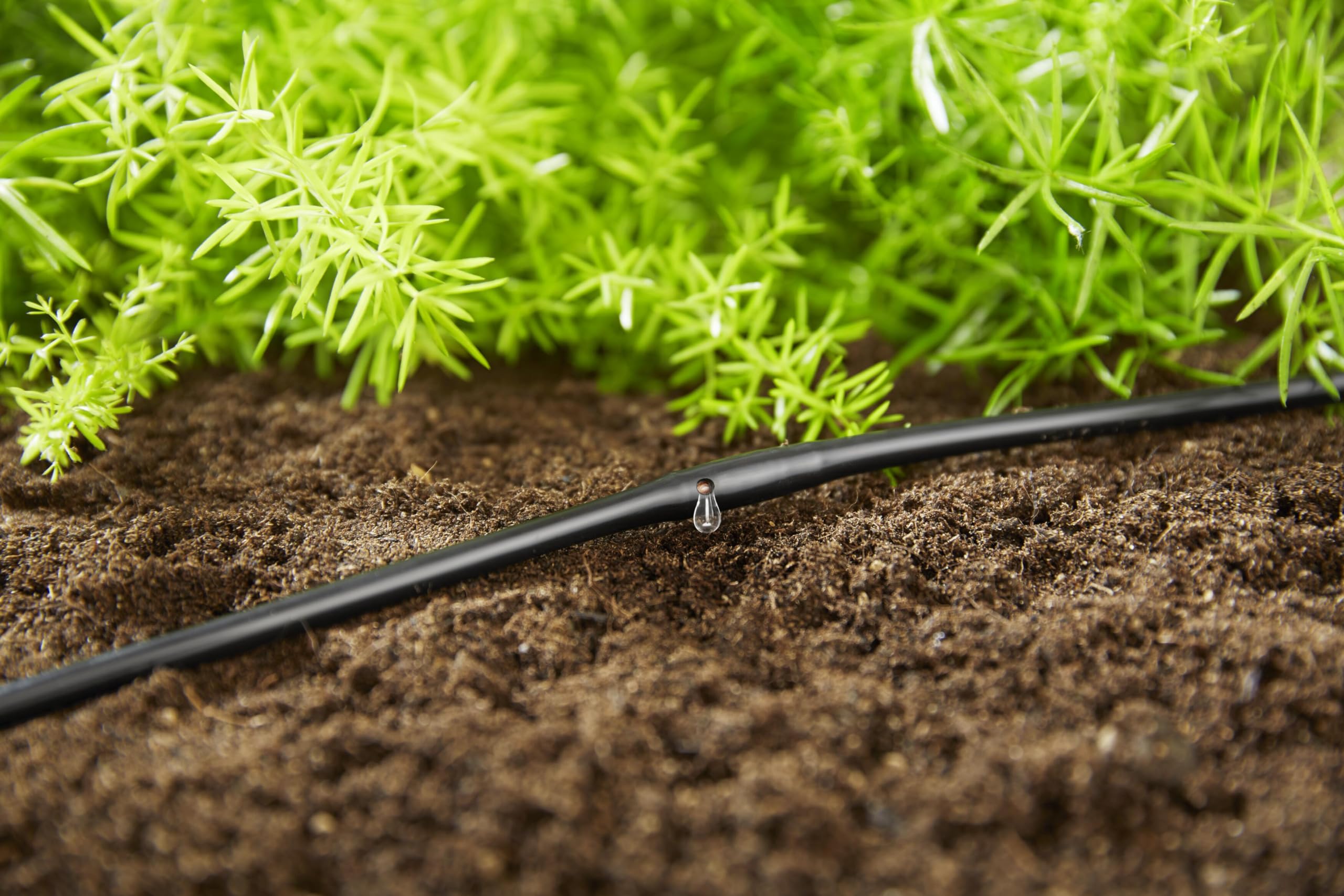 Gardena linia kroplująca do rzędów roślin – zestaw L: system nawadniania ogrodowego Micro-Drip zapewnia oszczędzające wodę, łagodne nawadnianie rzędów roślin (13013-20)
