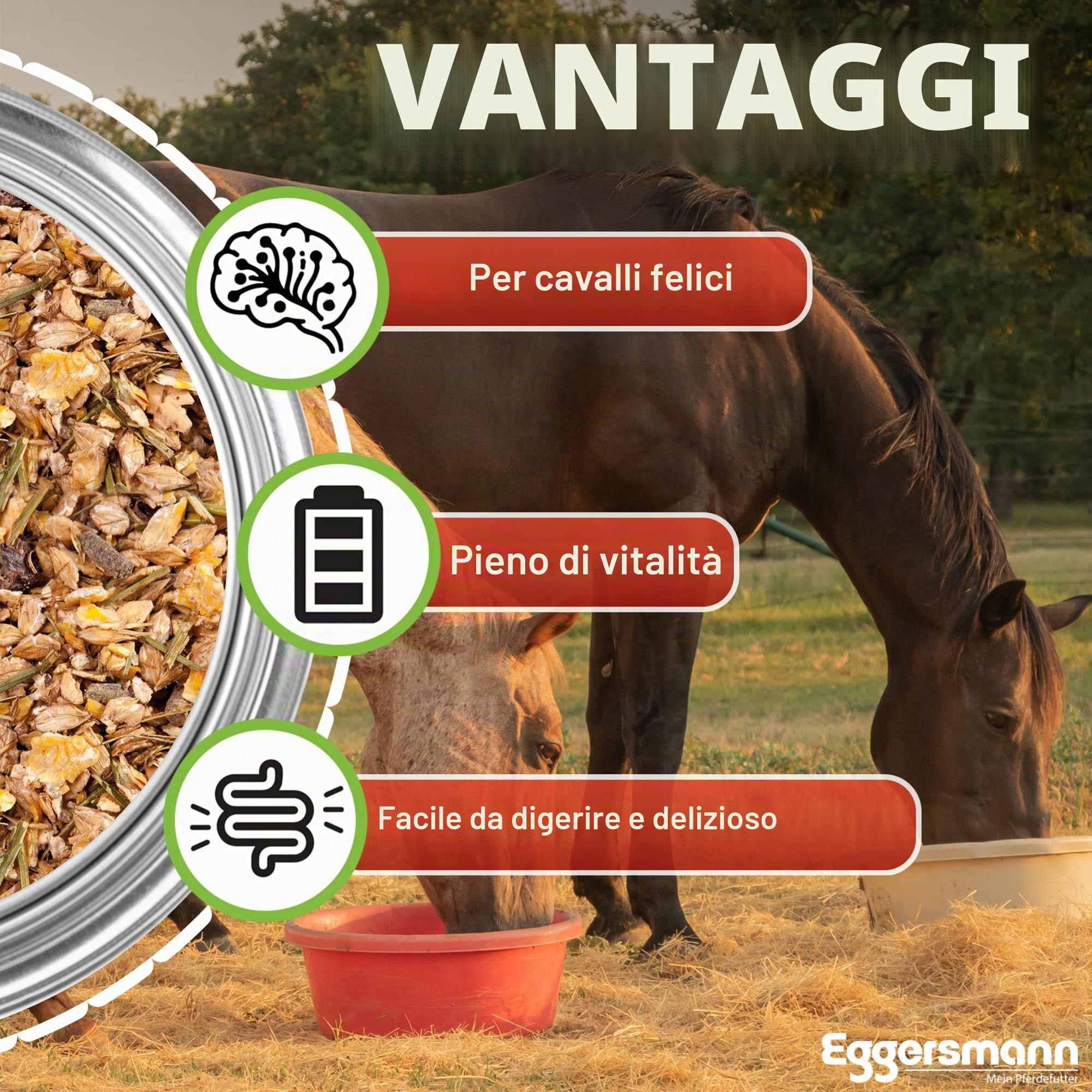 Eggersmann EMH Senior Müsli Sacco 20 kg – Manichino Cavalli Antichi – Prevenzione della Perdita di Sostanze con Selenio – Naturale Eggersmann