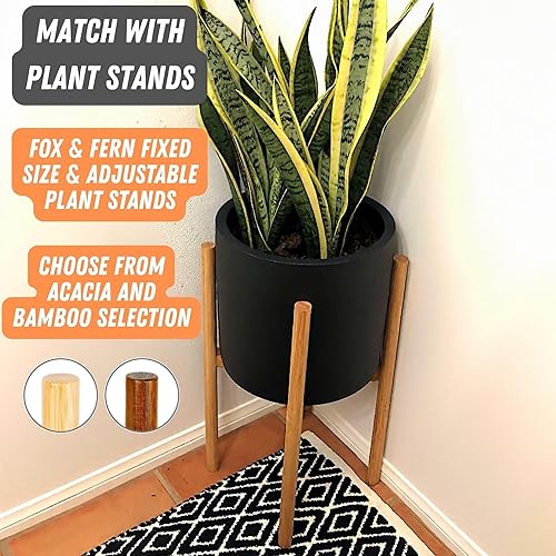 Miniatura 7 de Fox & Fern - Maceta (fibra de piedra) Padre